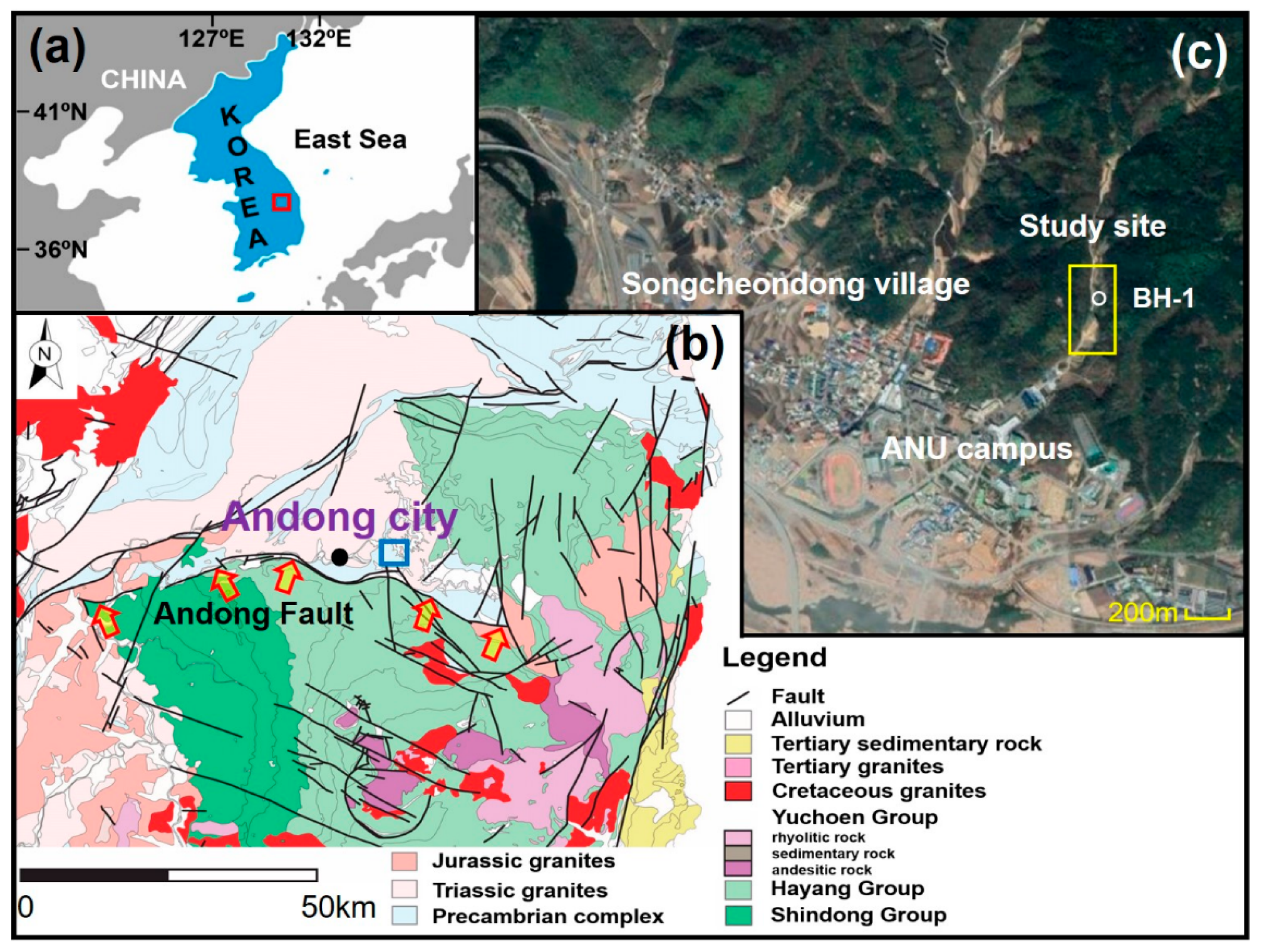 Sustainability 12 10421 g001 Sustainability 12 10421 g001
