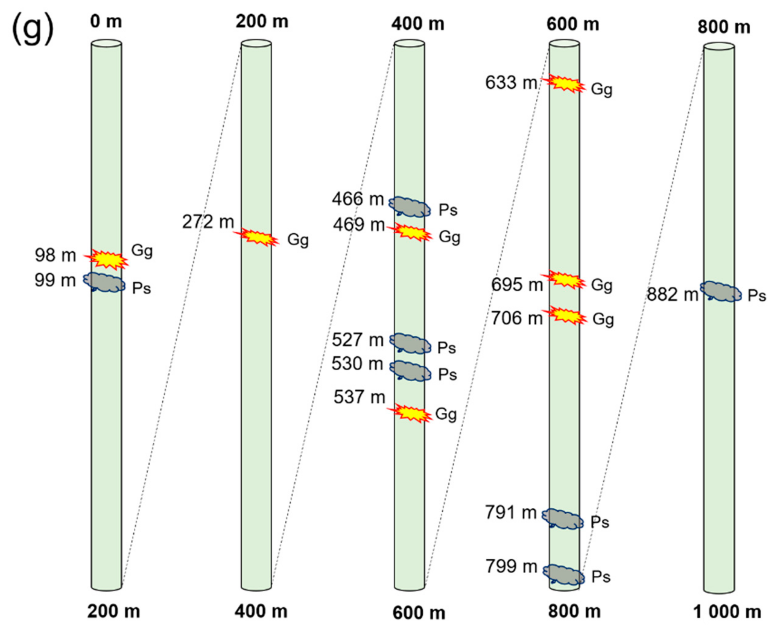 Sustainability 12 10421 g002b Sustainability 12 10421 g002b