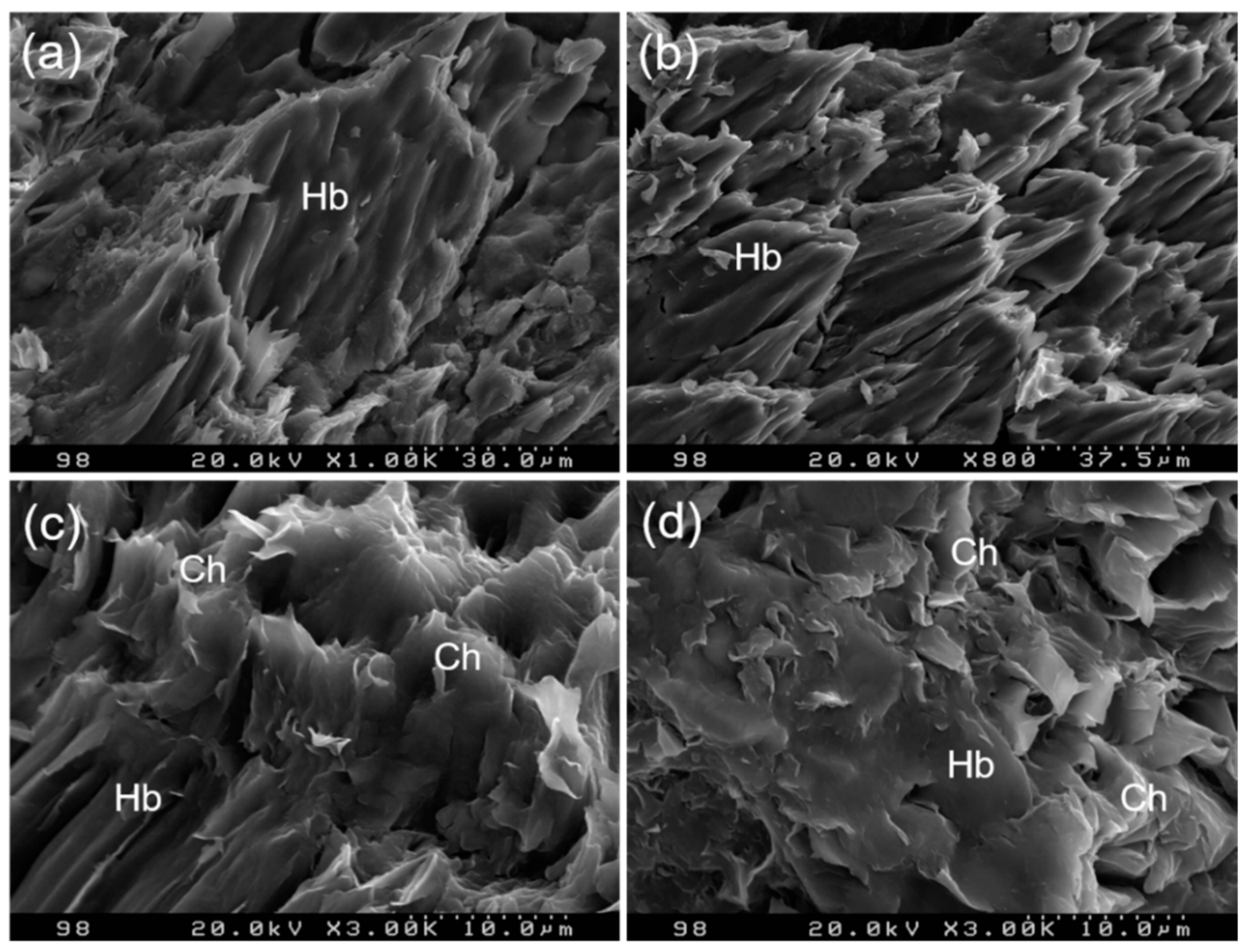 Sustainability 12 10421 g006 Sustainability 12 10421 g006