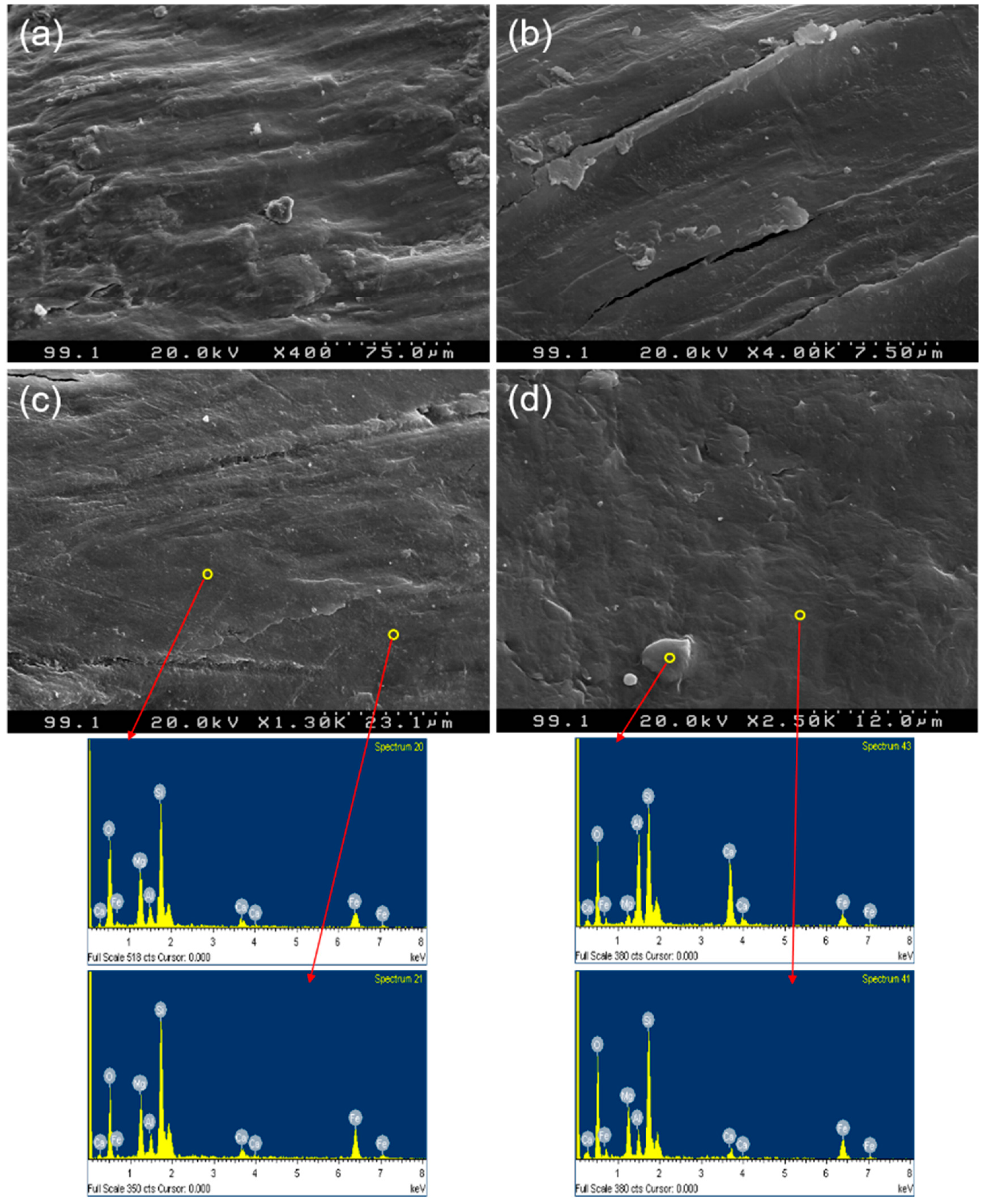 Sustainability 12 10421 g007 Sustainability 12 10421 g007