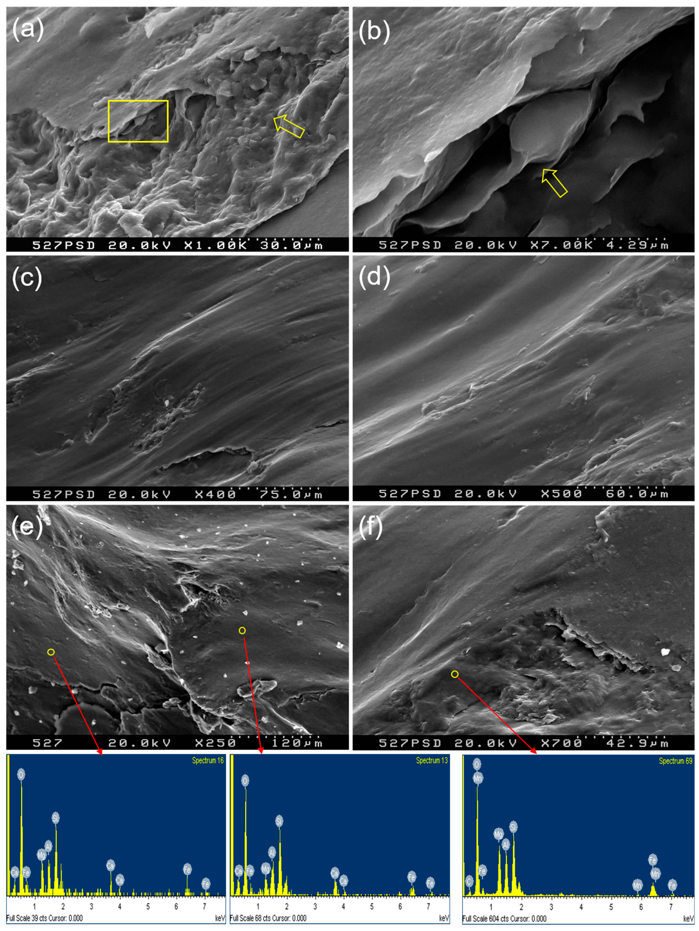 Sustainability 12 10421 g010 Sustainability 12 10421 g010