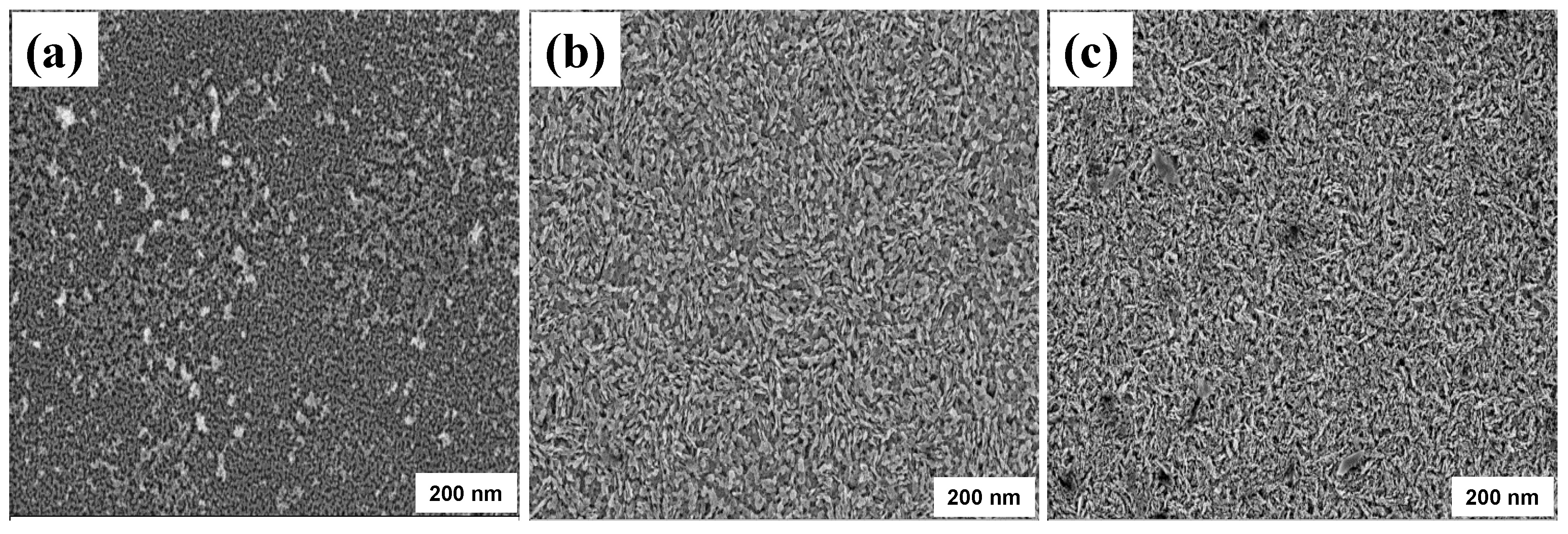 Sustainability 12 10423 g004