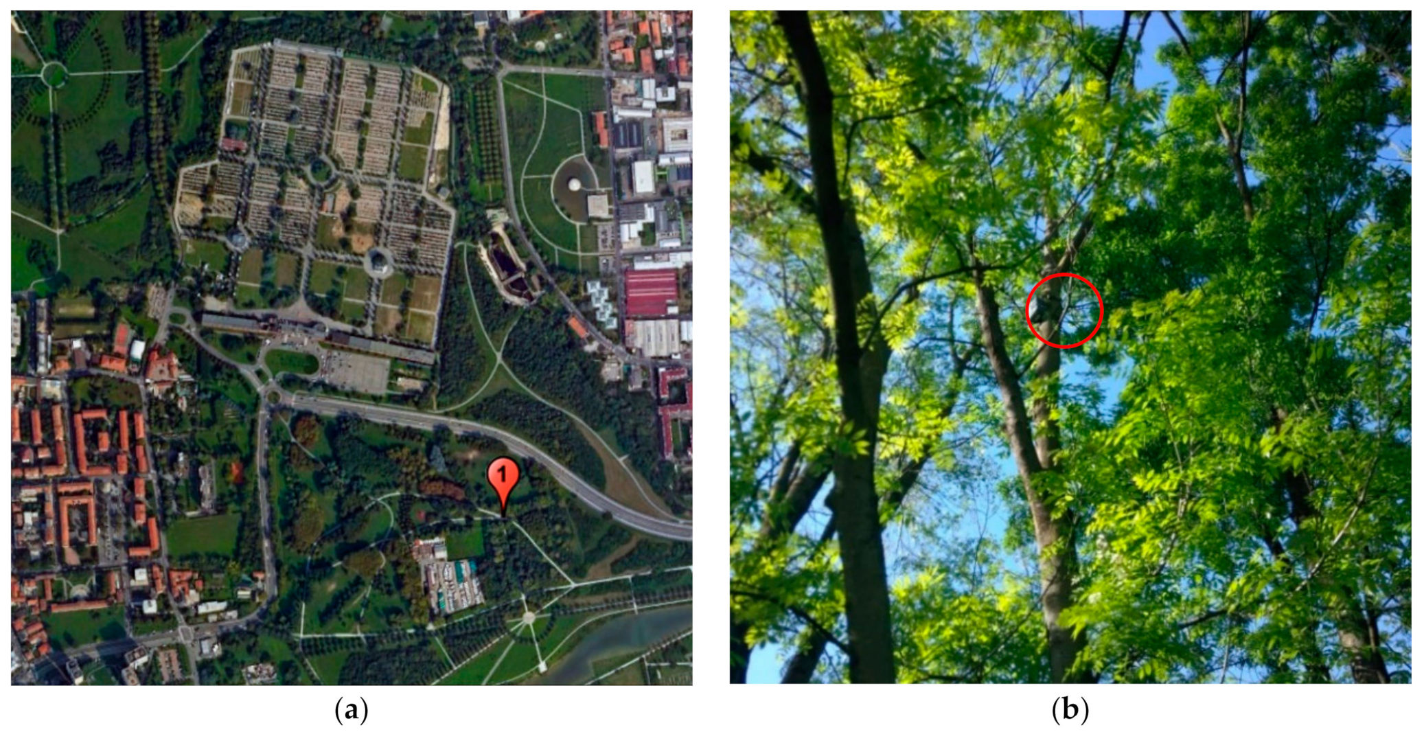 Sustainability 12 10455 g001