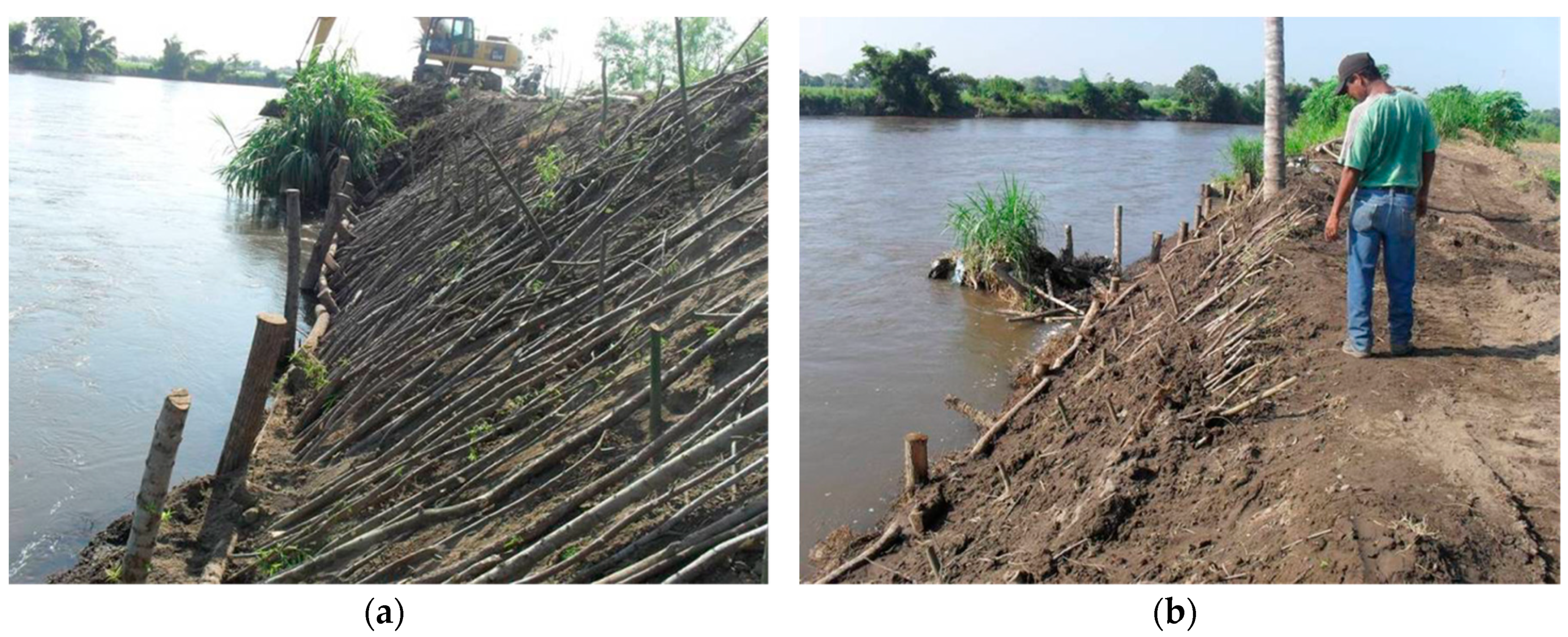 Sustainability 12 10505 g003 Sustainability 12 10505 g003