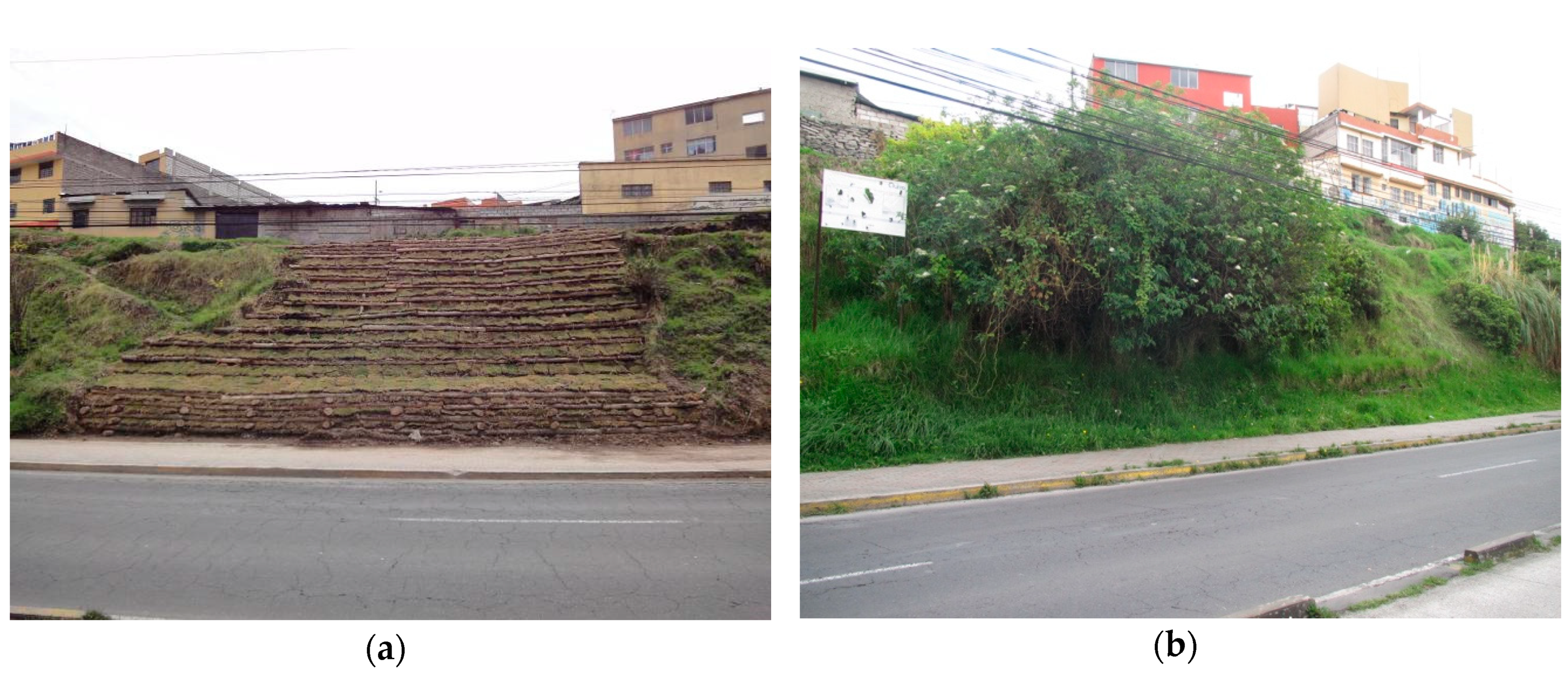 Sustainability 12 10505 g004 Sustainability 12 10505 g004