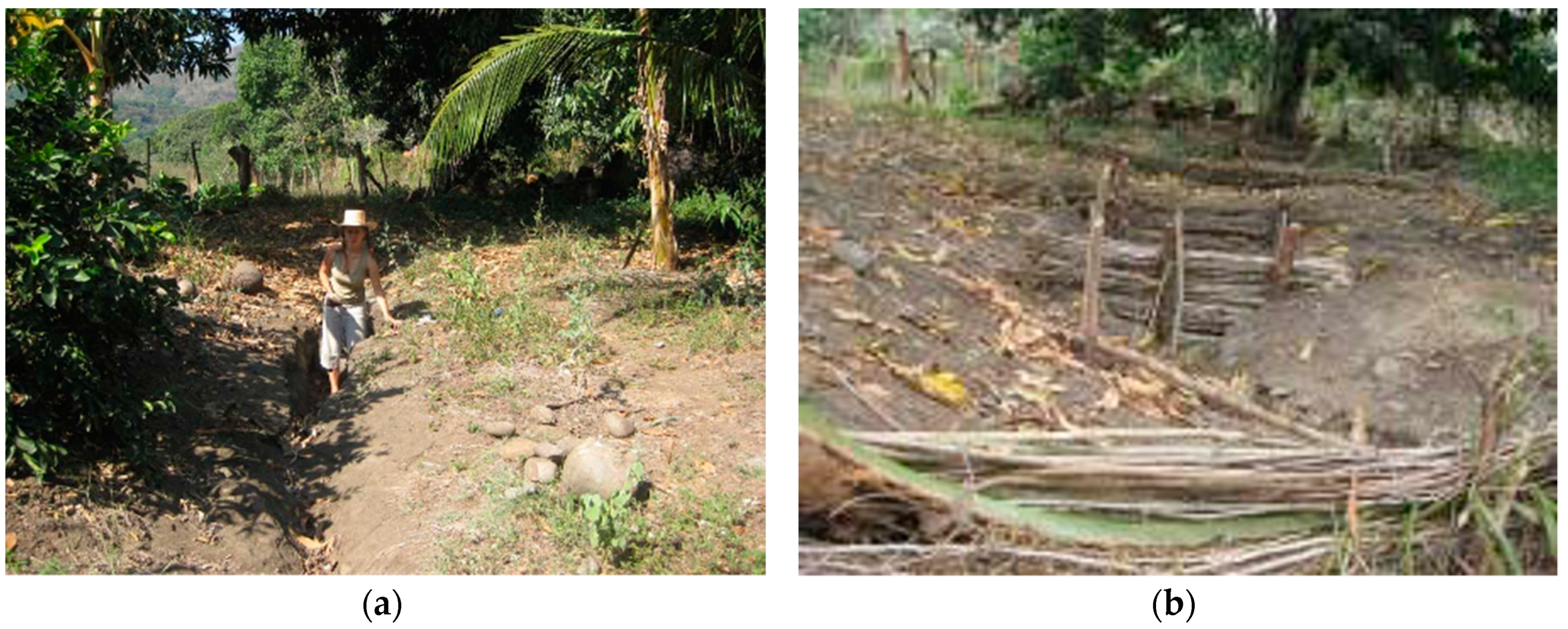 Sustainability 12 10505 g007 Sustainability 12 10505 g007