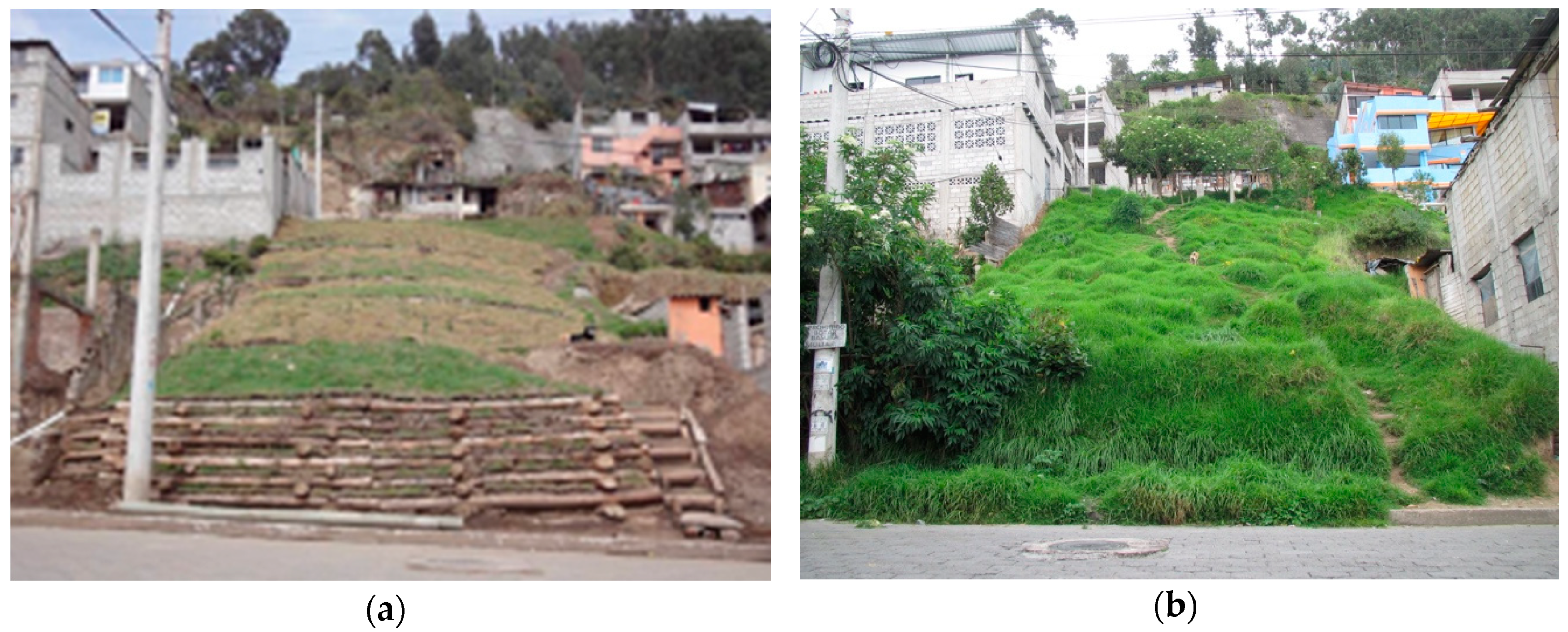 Sustainability 12 10505 g009 Sustainability 12 10505 g009