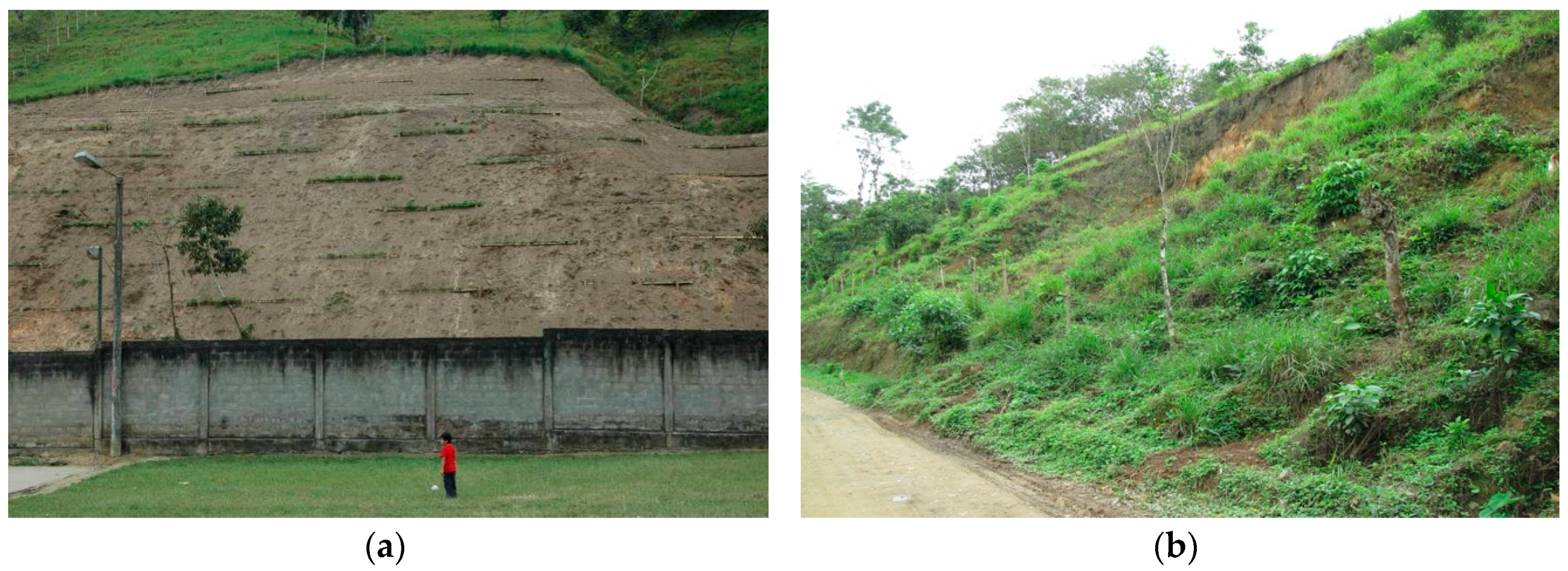 Sustainability 12 10505 g011 Sustainability 12 10505 g011