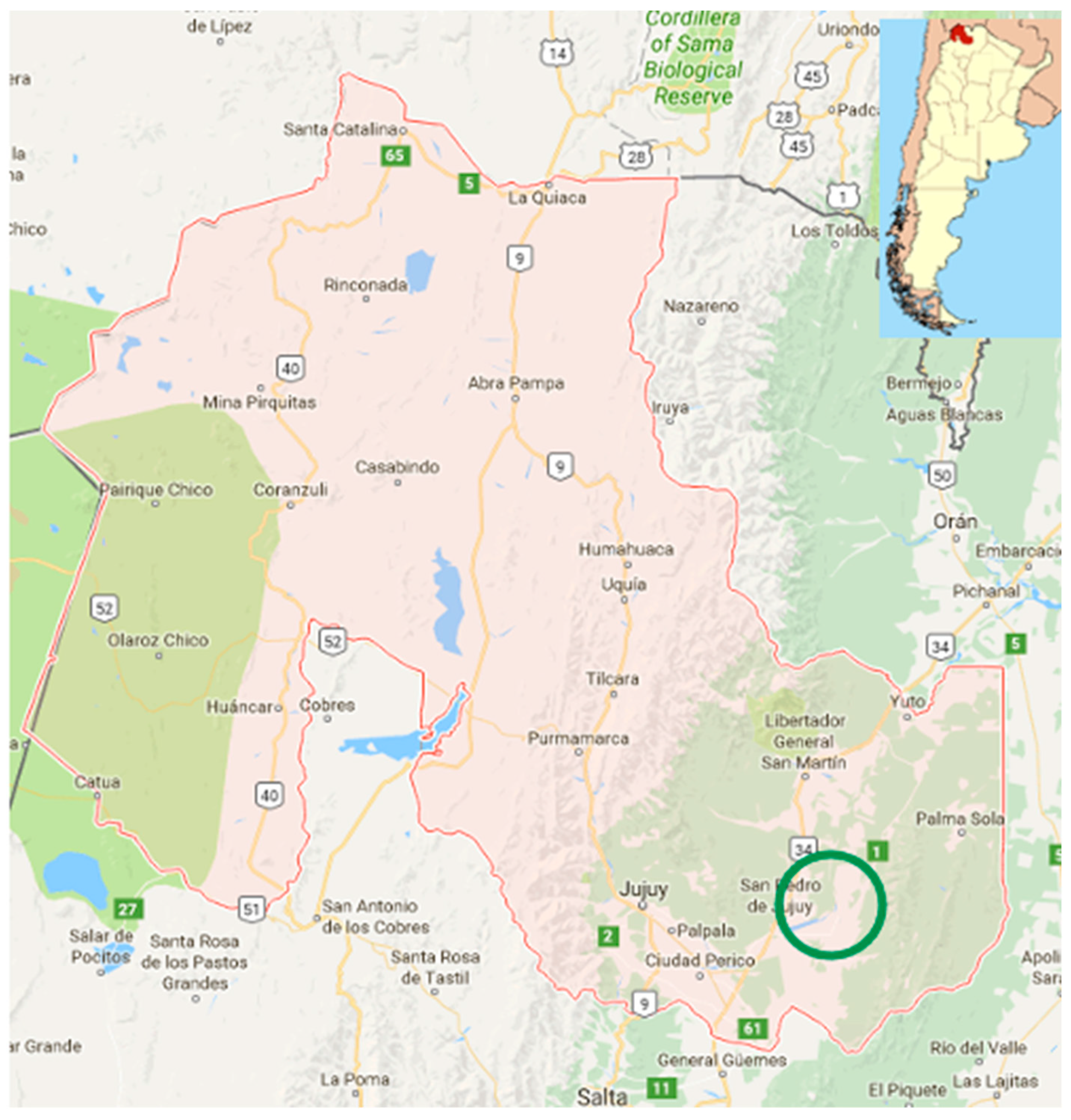 Sustainability 12 10526 g001