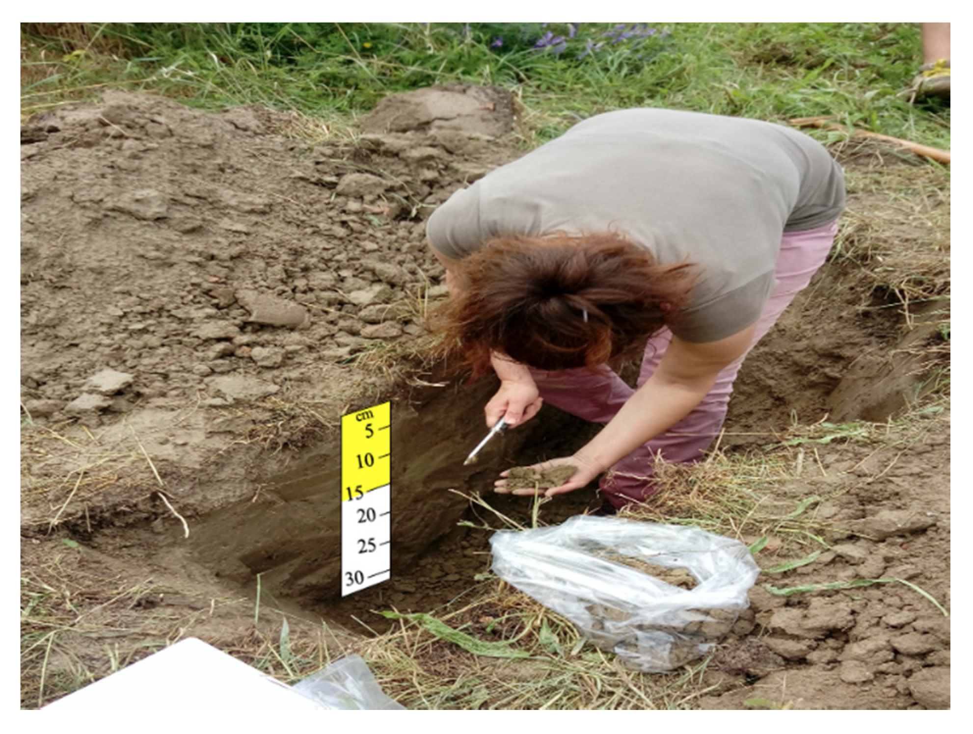 Sustainability 12 10539 g002