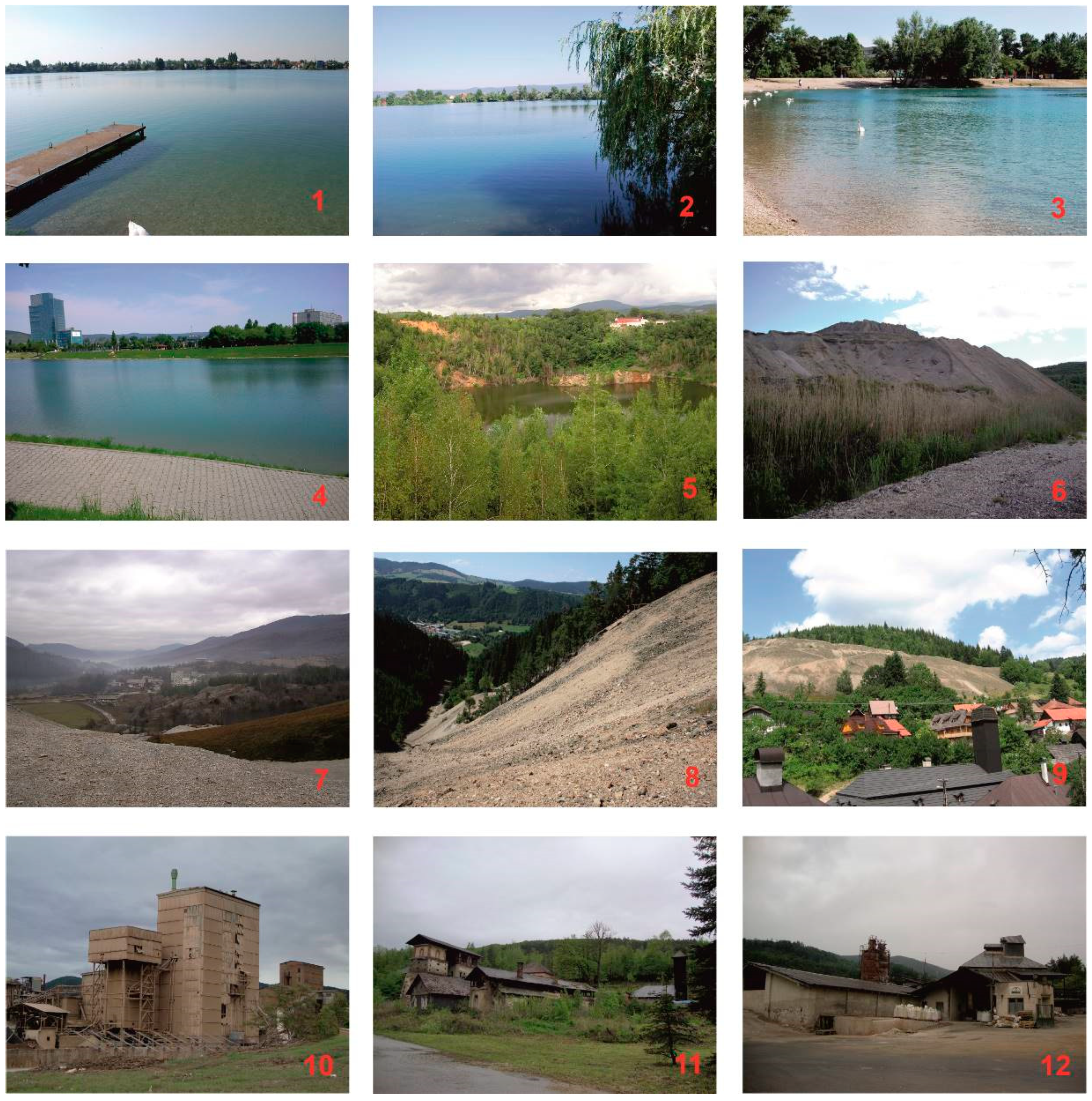 Sustainability 12 10569 g0a2 Sustainability 12 10569 g0a2