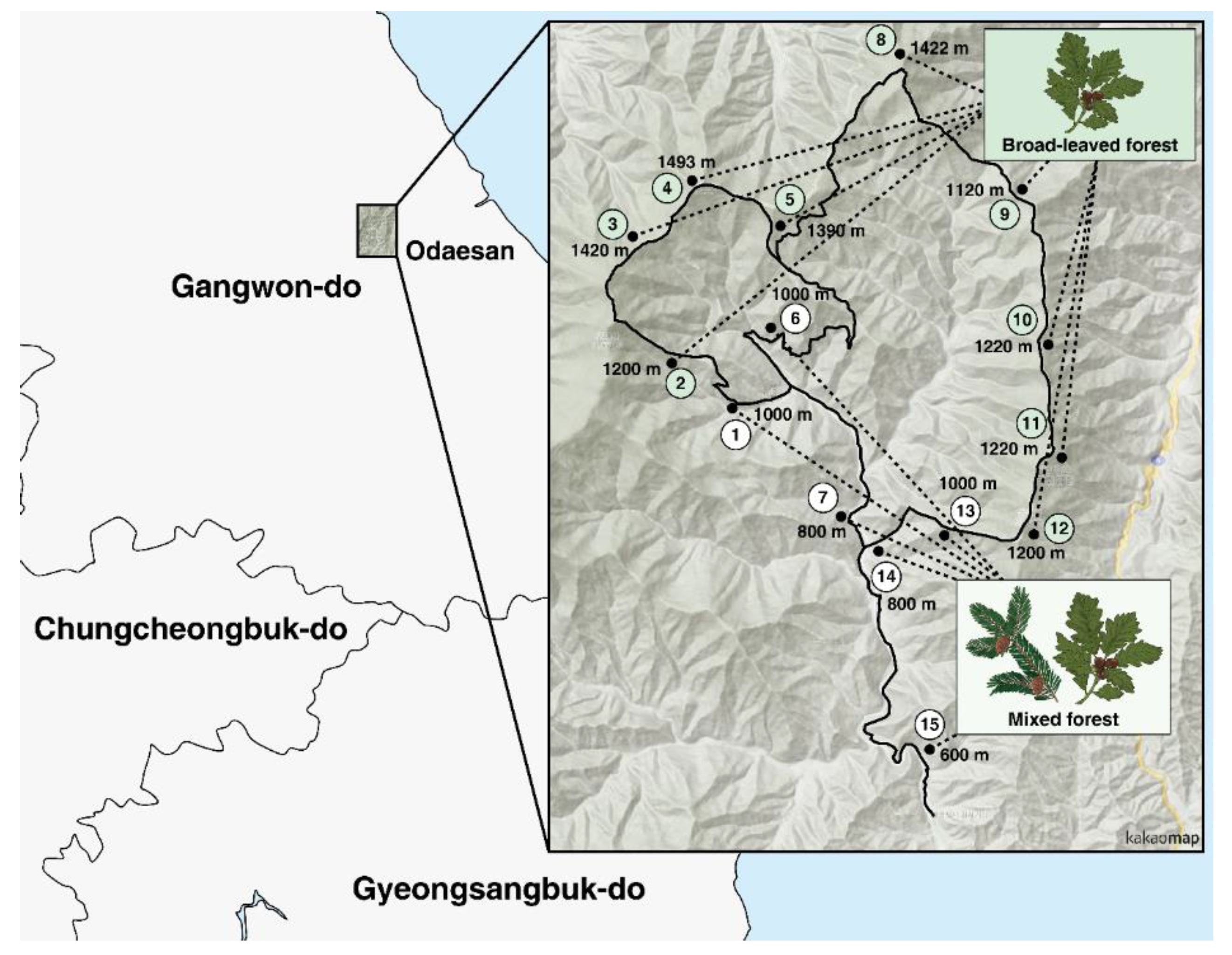 Sustainability 12 10591 g002 Sustainability 12 10591 g002