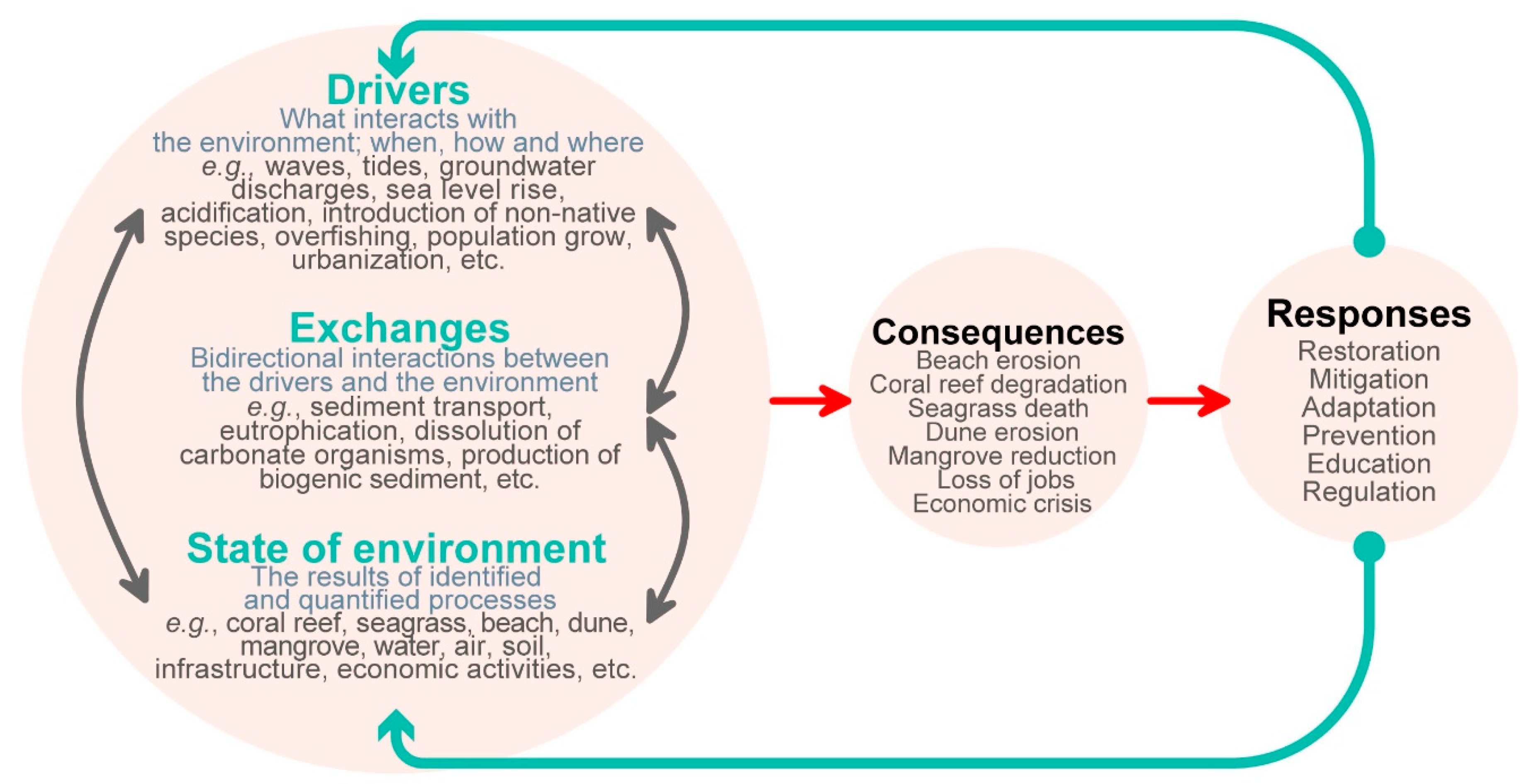 Lessons learnt and best practices of managing coastal risk from