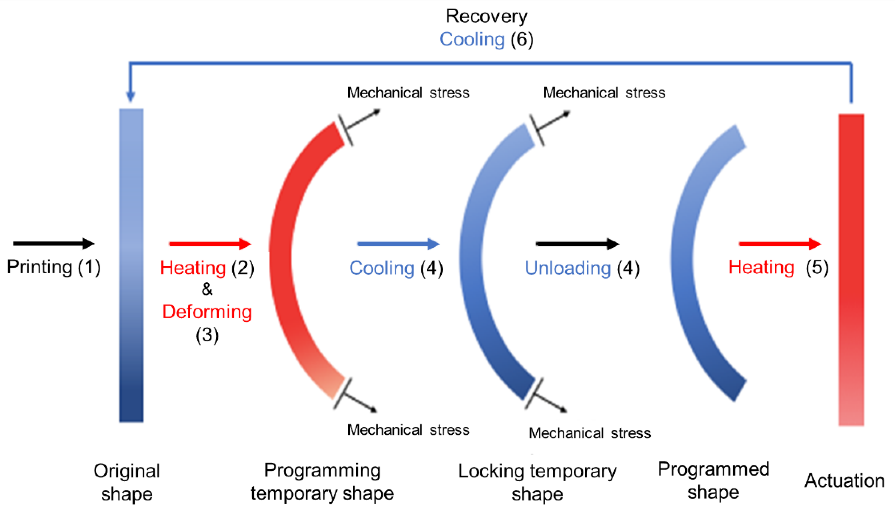 Sustainability 12 10628 g007 Sustainability 12 10628 g007