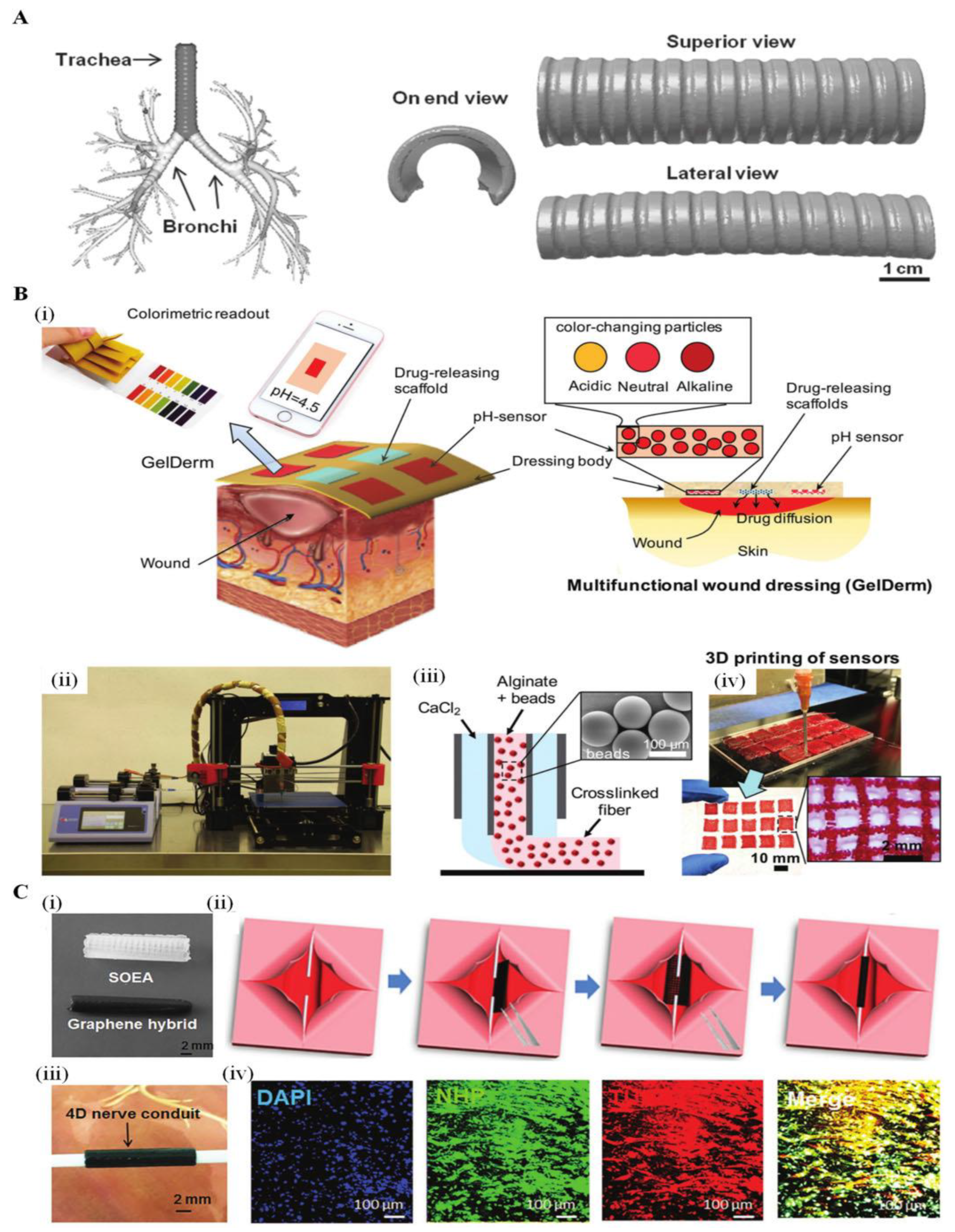 Sustainability 12 10628 g012 Sustainability 12 10628 g012