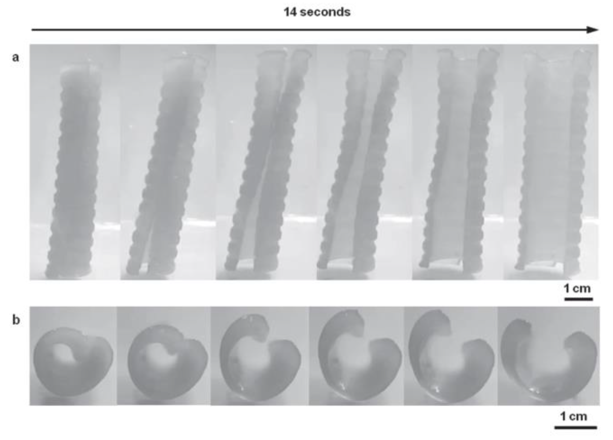 Sustainability 12 10628 g013 Sustainability 12 10628 g013