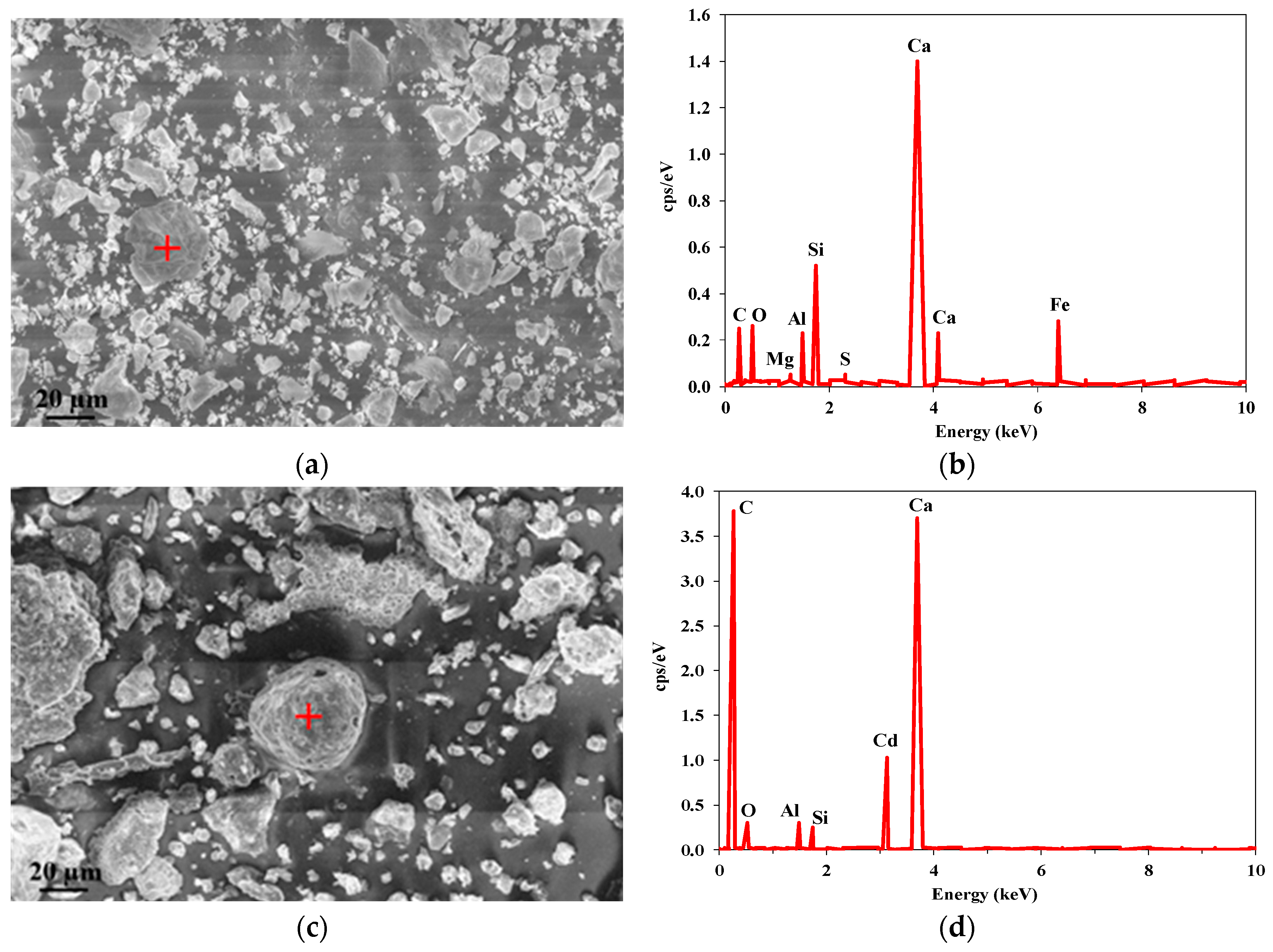 Sustainability 12 10631 g001 Sustainability 12 10631 g001