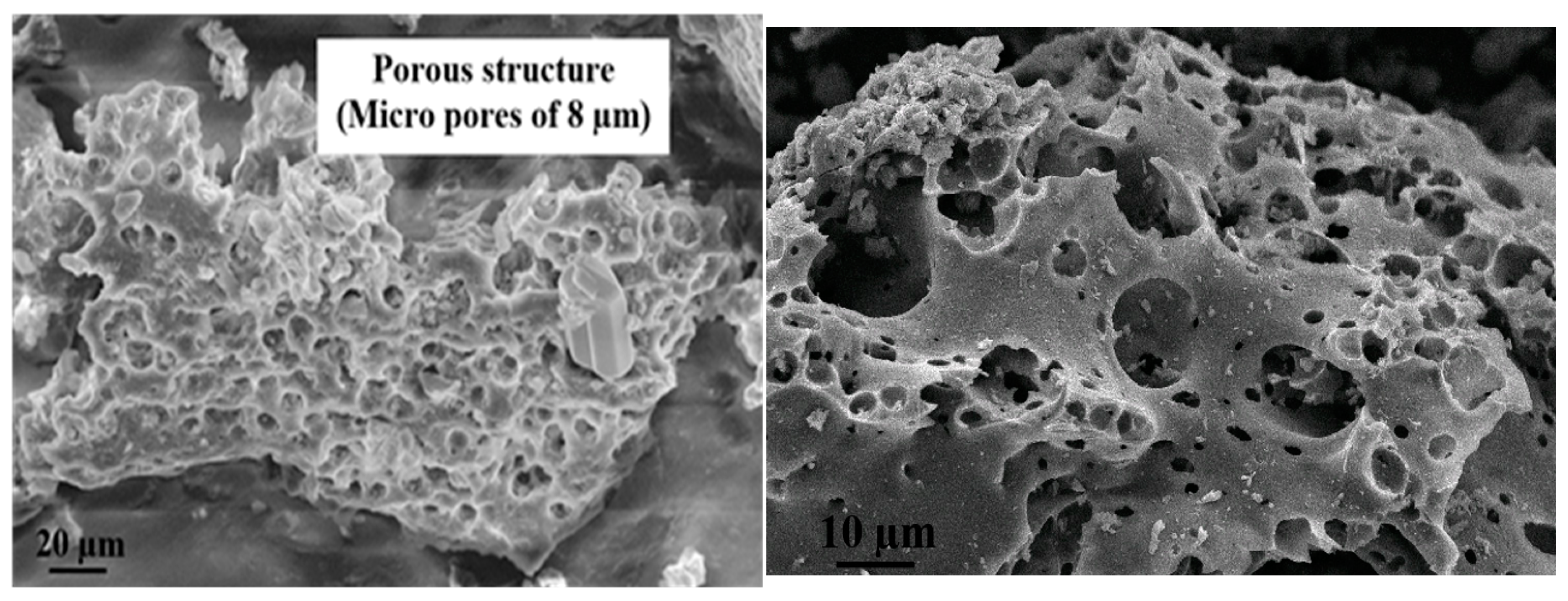 Sustainability 12 10631 g002 Sustainability 12 10631 g002