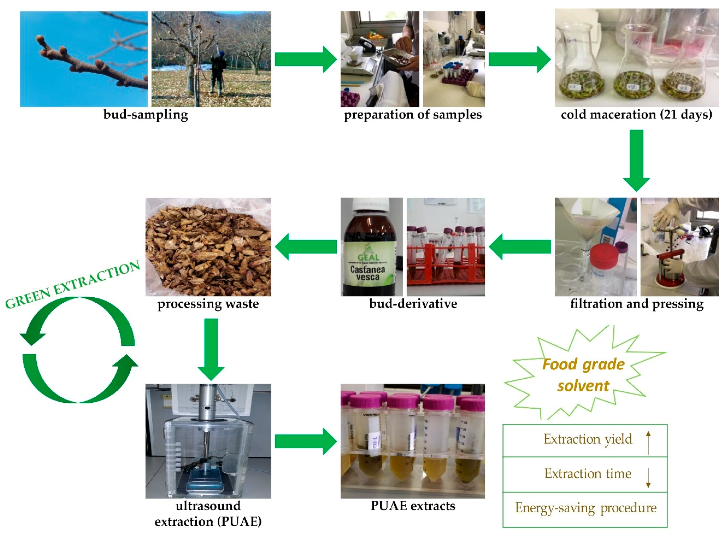 Sustainability 12 10640 g001 Sustainability 12 10640 g001
