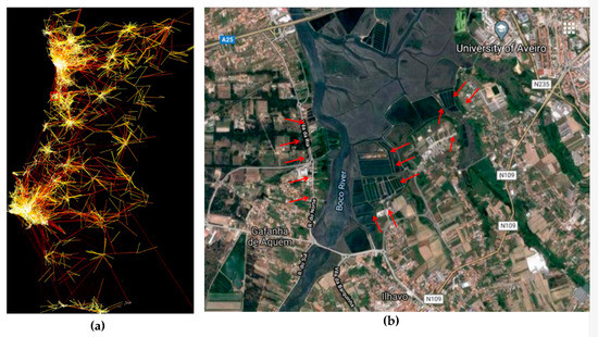 Transitions between Centralization and Metapolization: From City 