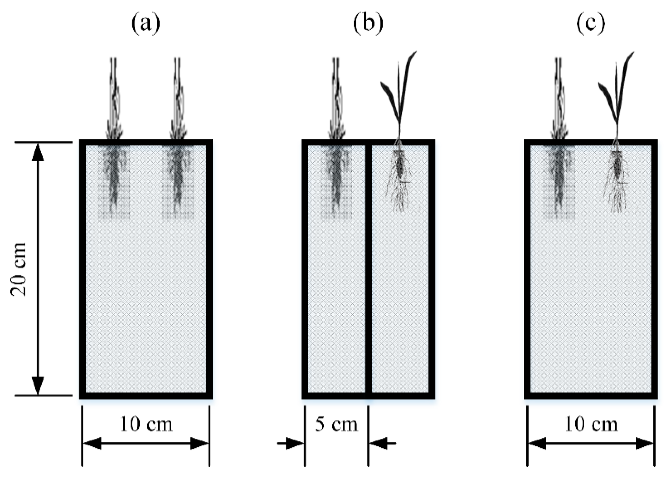 Sustainability 12 10654 g001