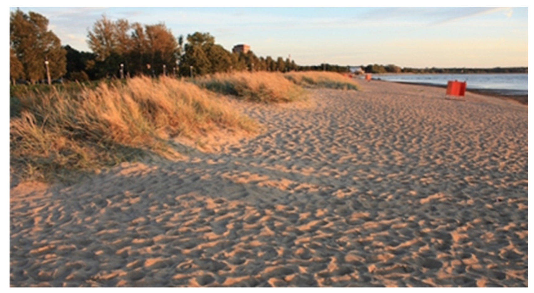 Sustainability 12 10656 g003