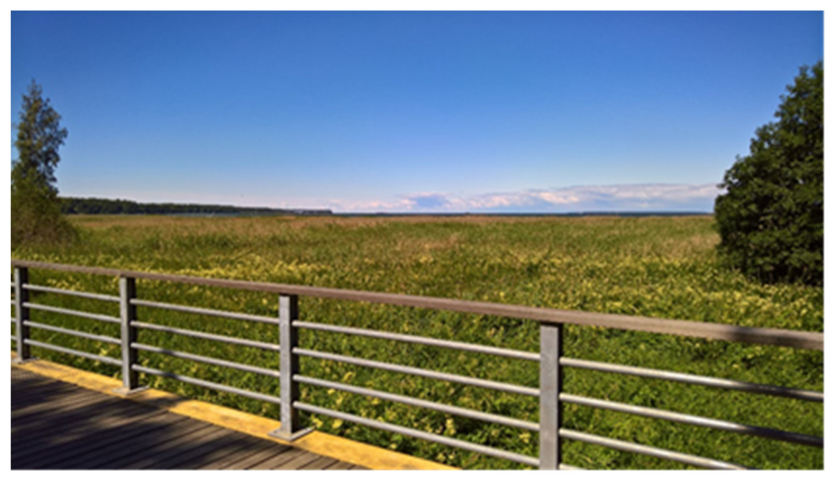 Sustainability 12 10656 g004