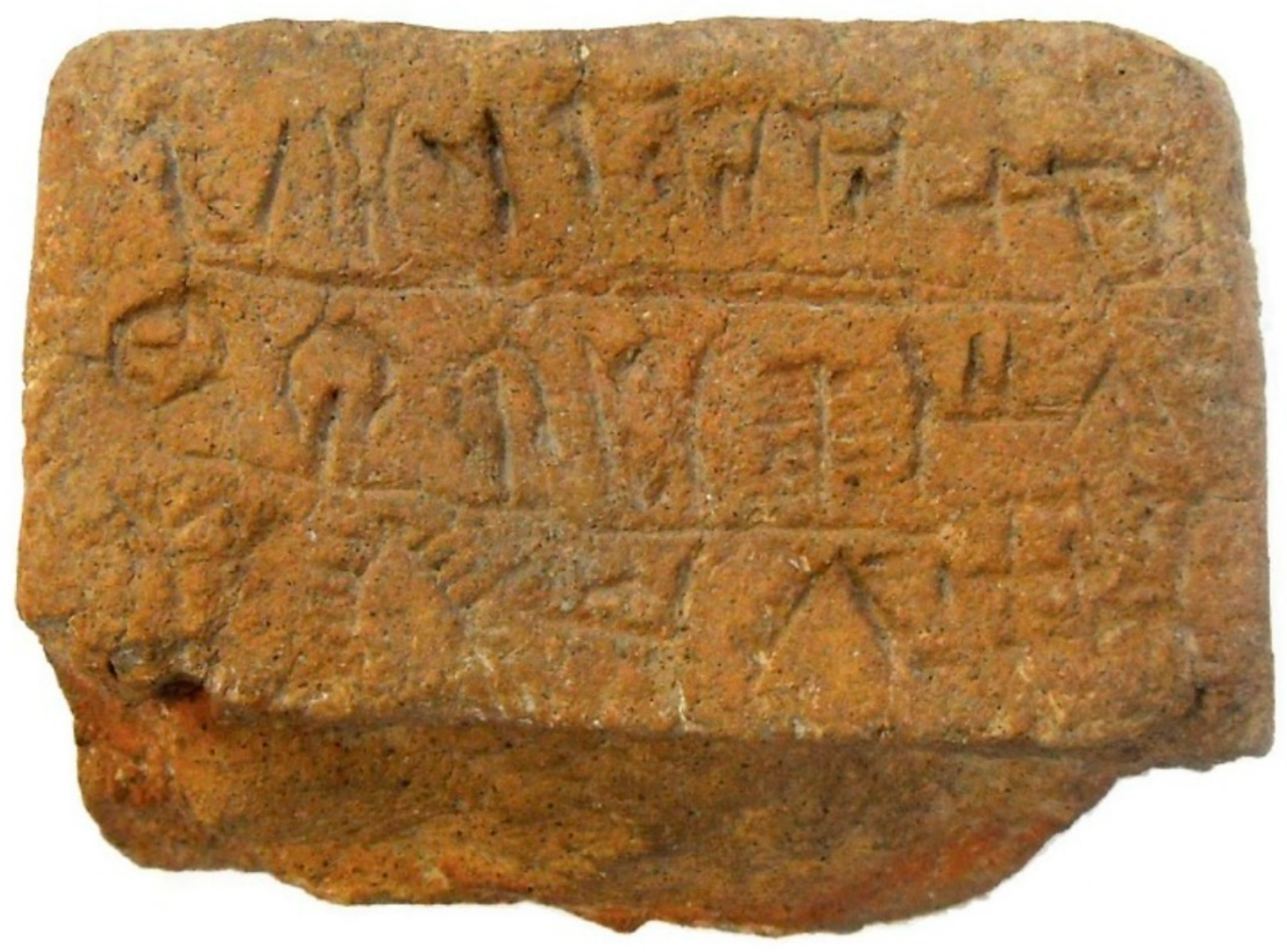 Sustainability 12 10671 g009