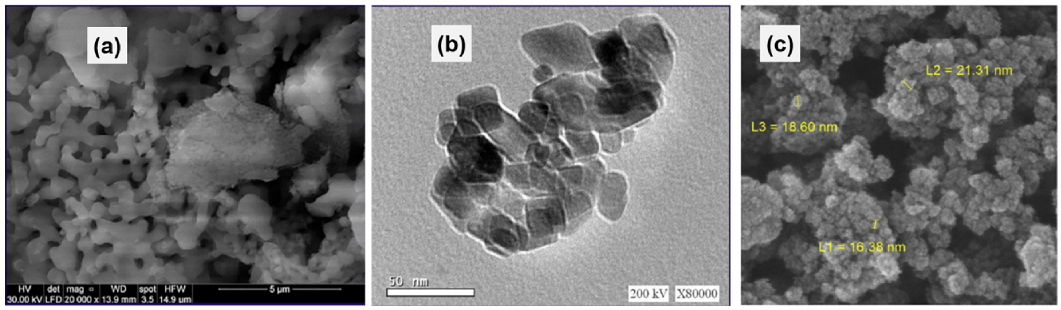 Sustainability 12 10683 g002