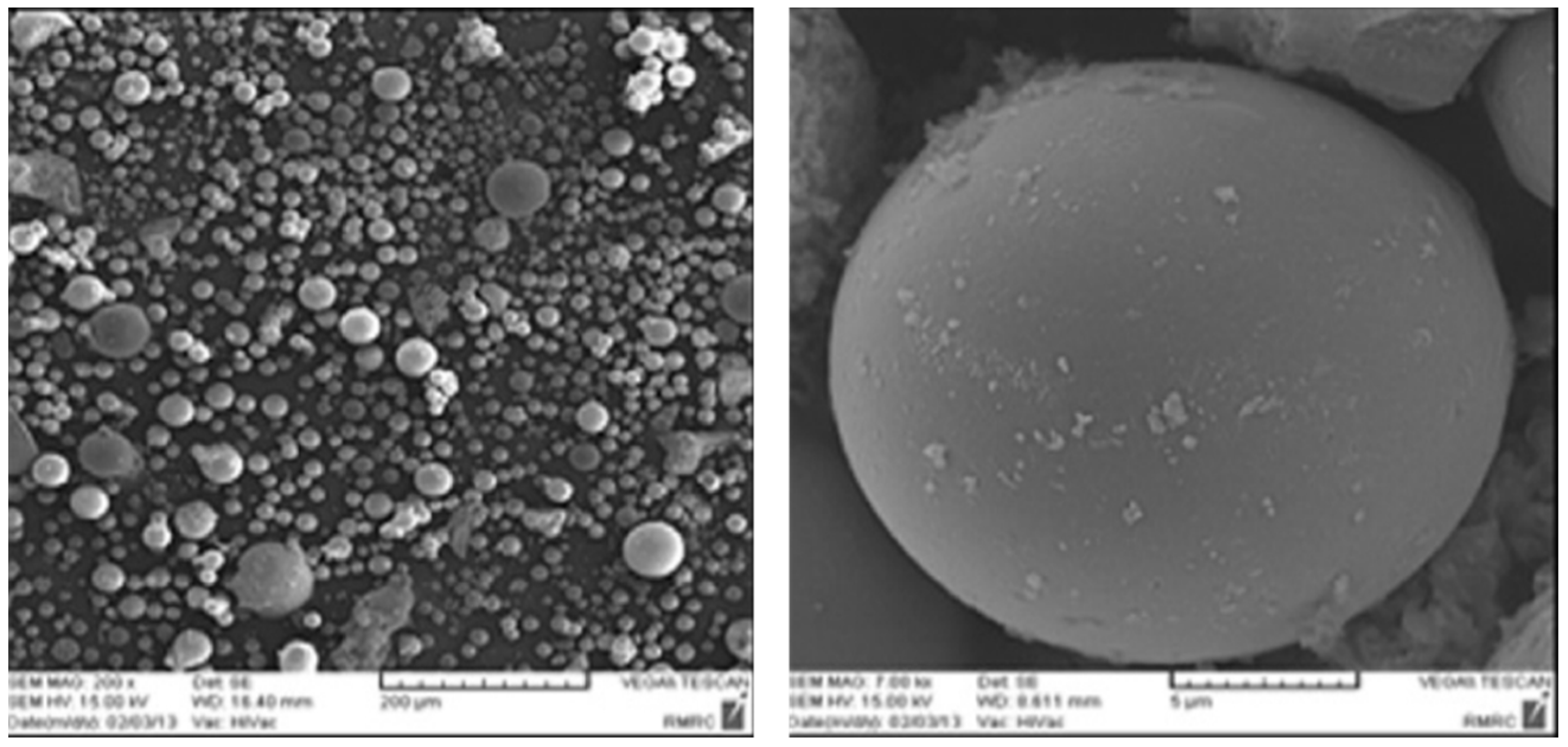 Sustainability 12 10683 g005