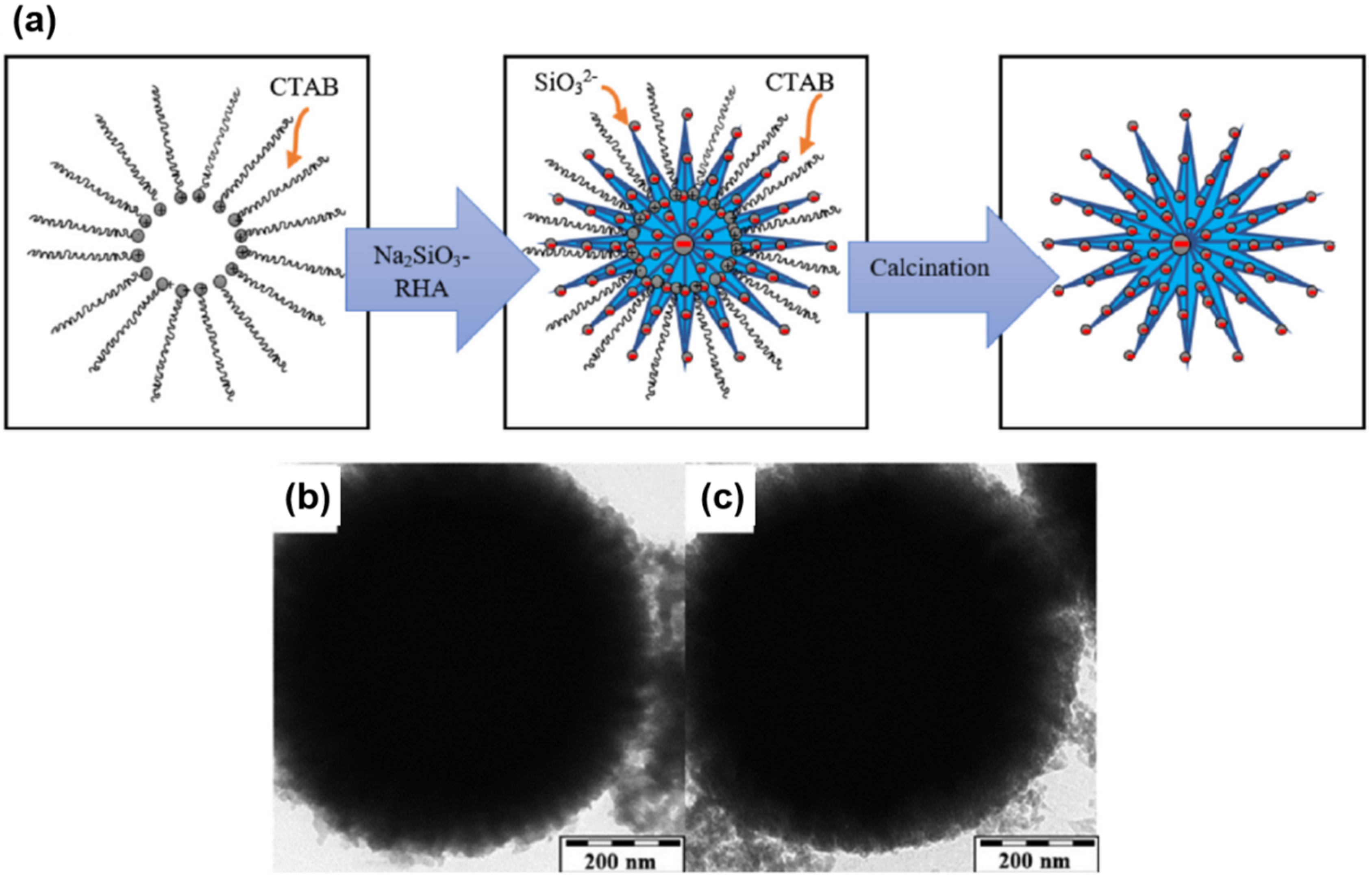 Sustainability 12 10683 g006