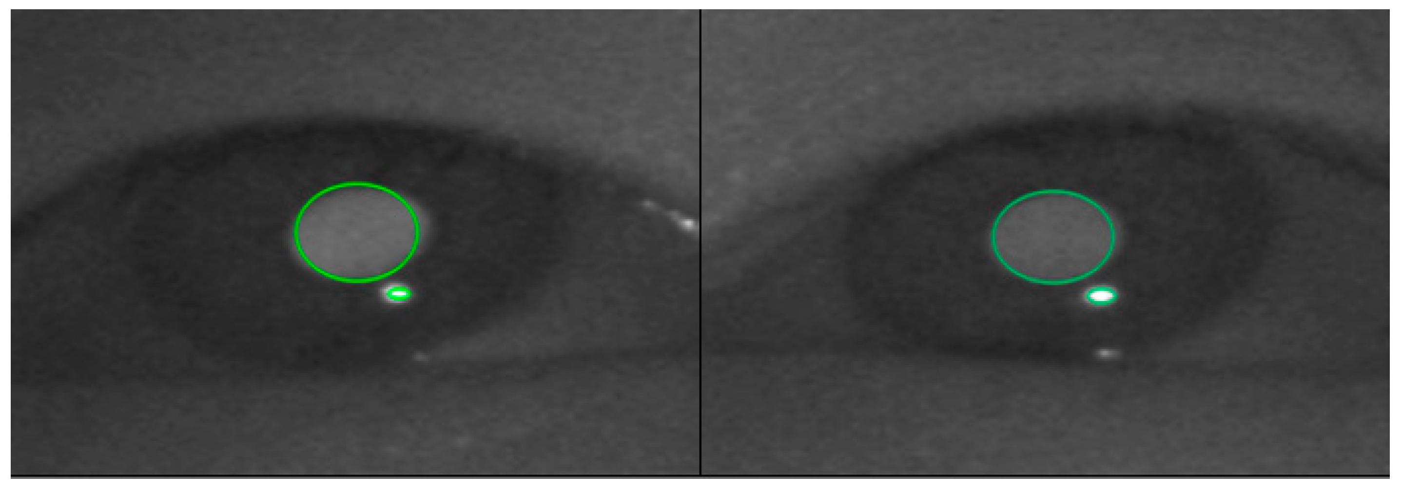 Sustainability 13 00030 g001