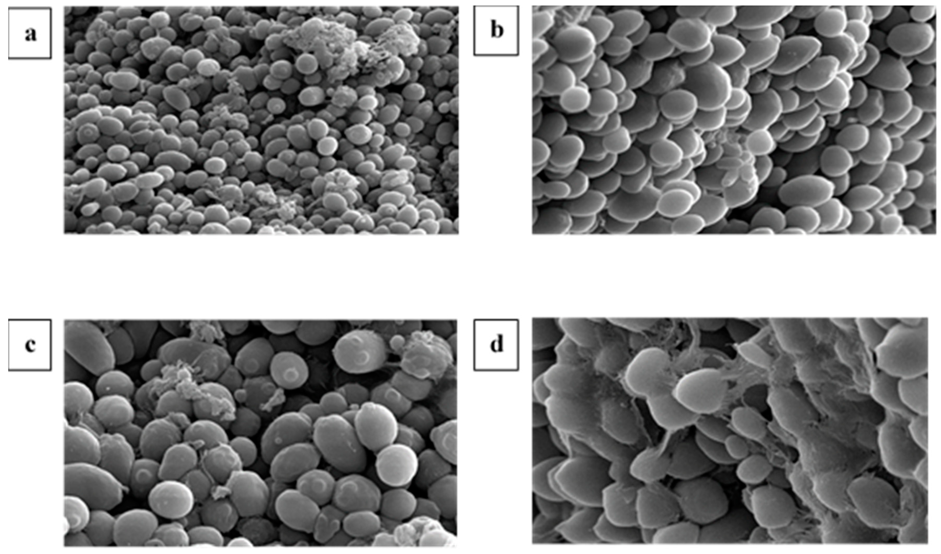 Sustainability 13 00036 g010