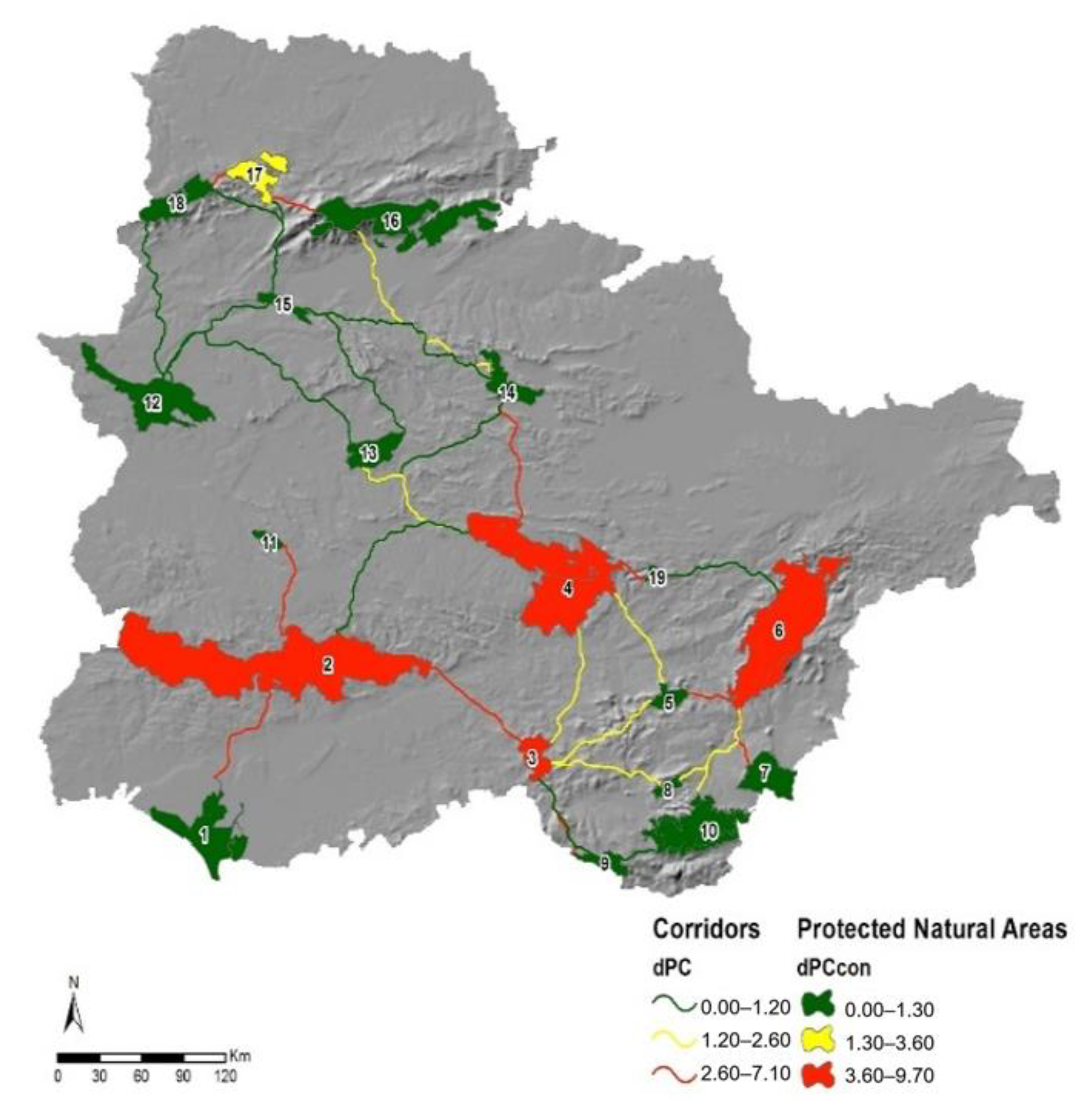 Lynx iberique : taille, description, biotope, habitat, reproduction