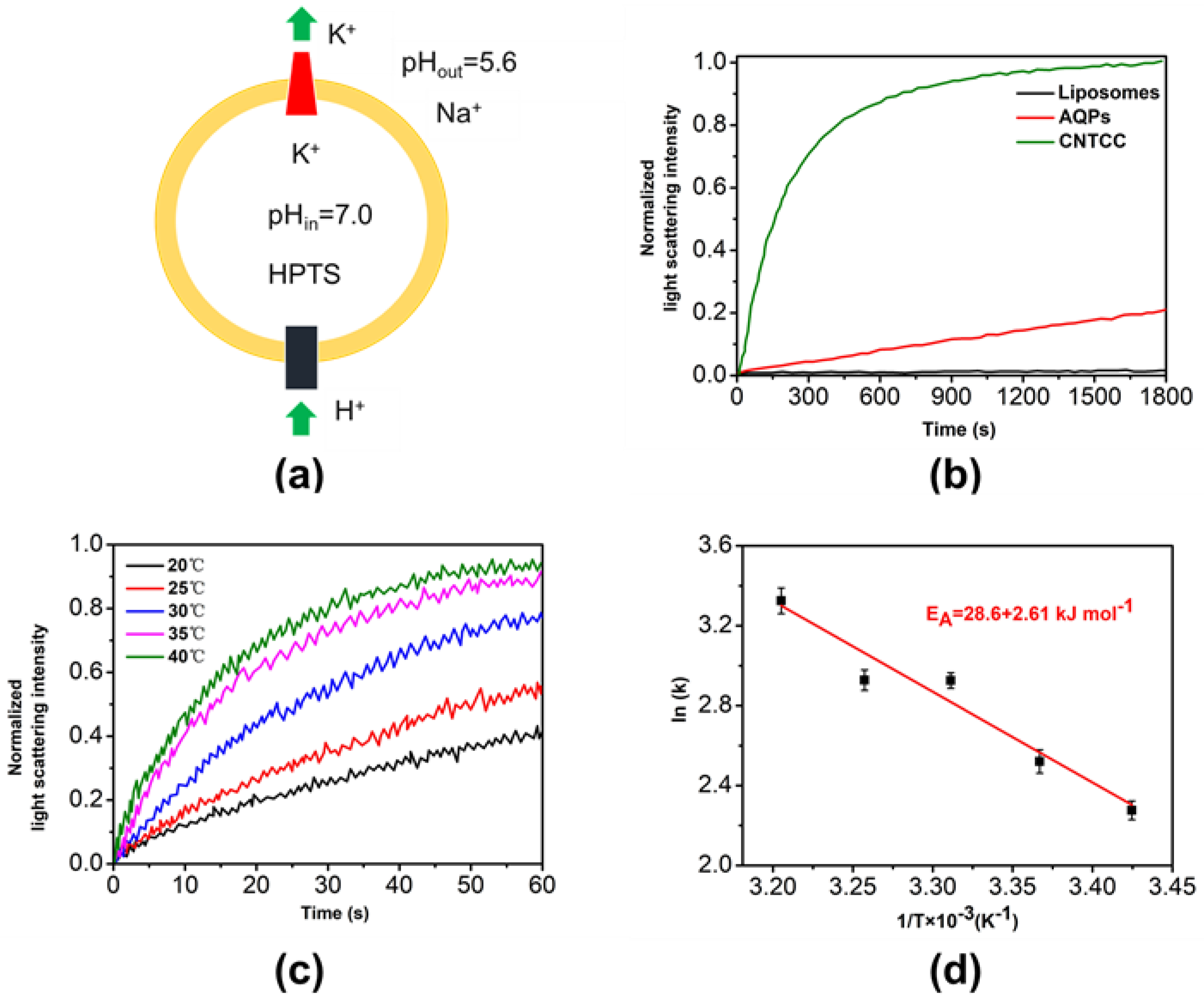 Sustainability 13 00102 g004