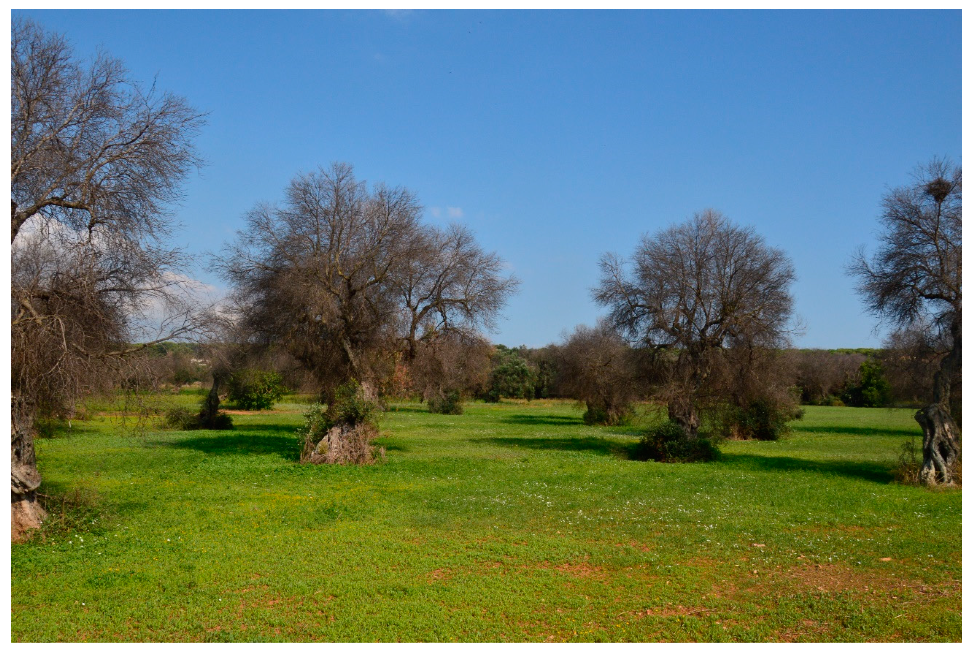 Sustainability 13 00122 g004