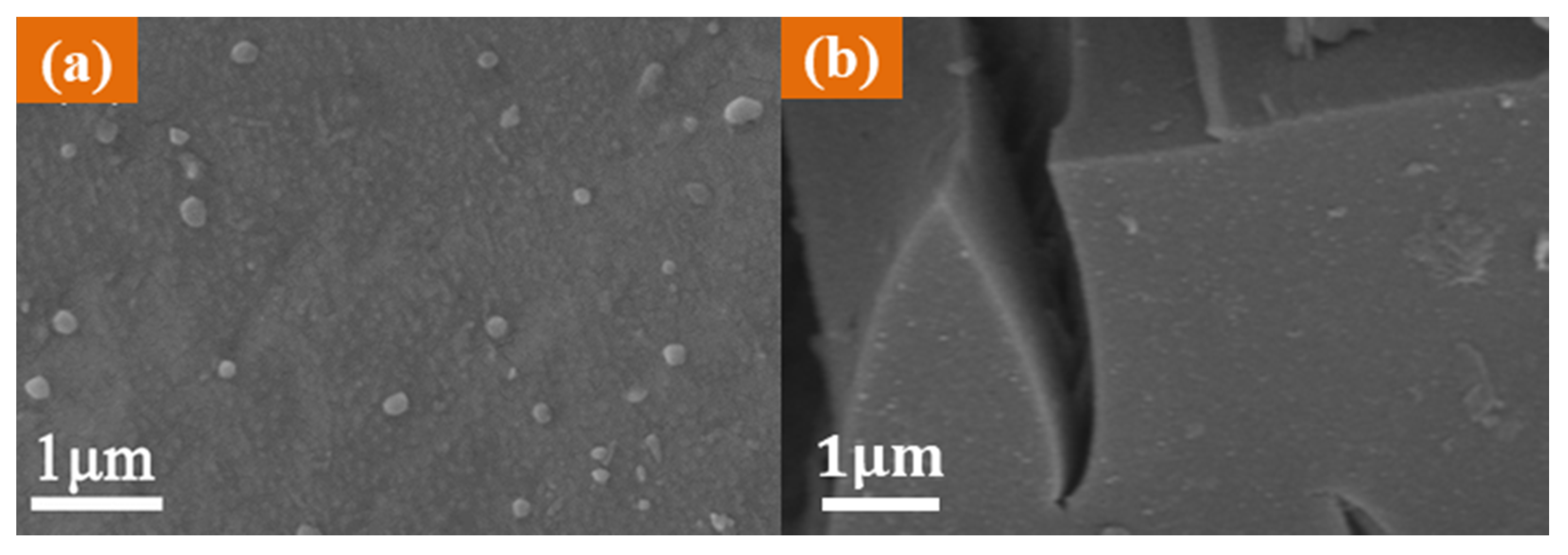 Sustainability 13 00126 g002 Sustainability 13 00126 g002