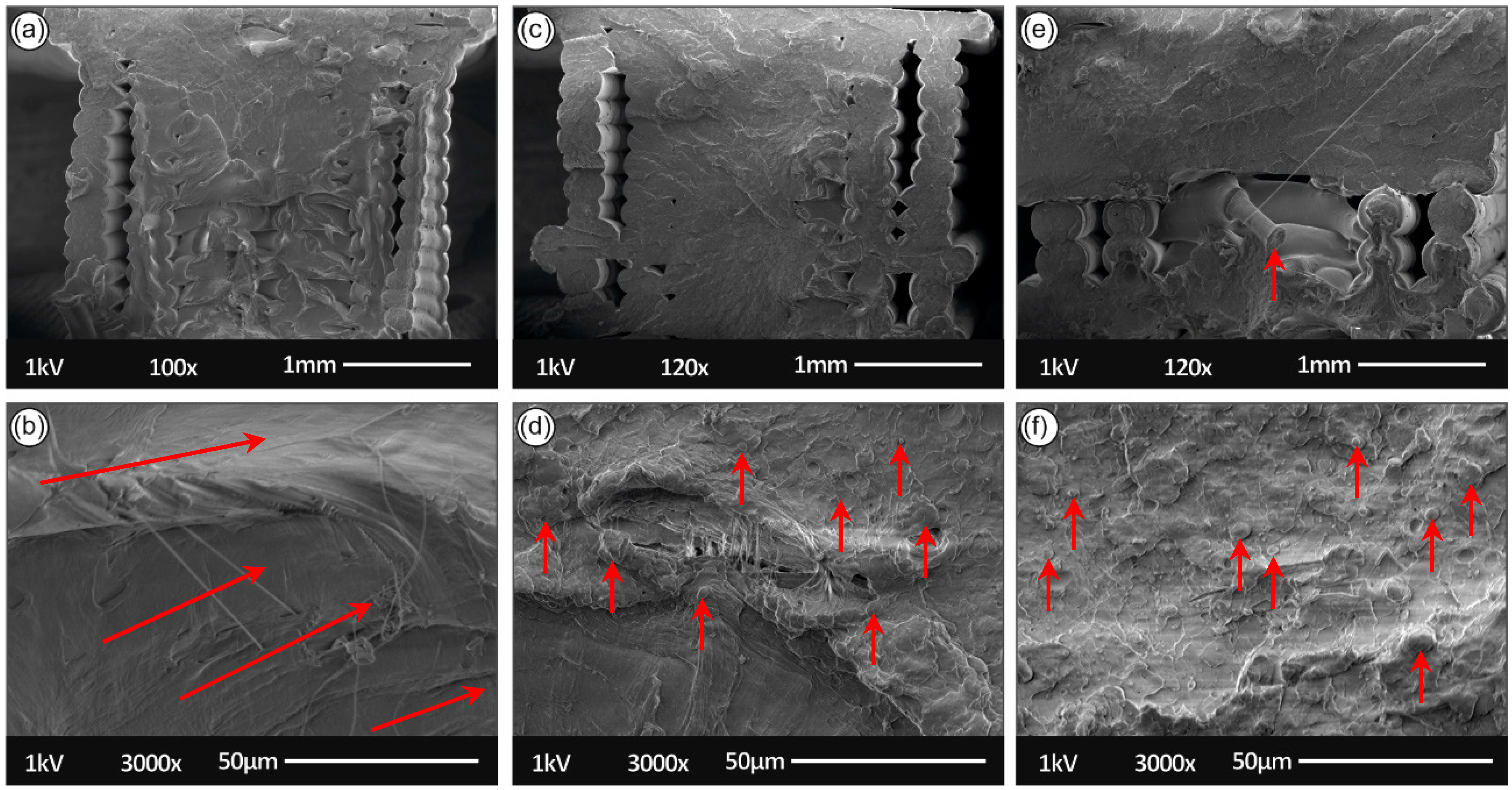 Sustainability 13 00159 g012