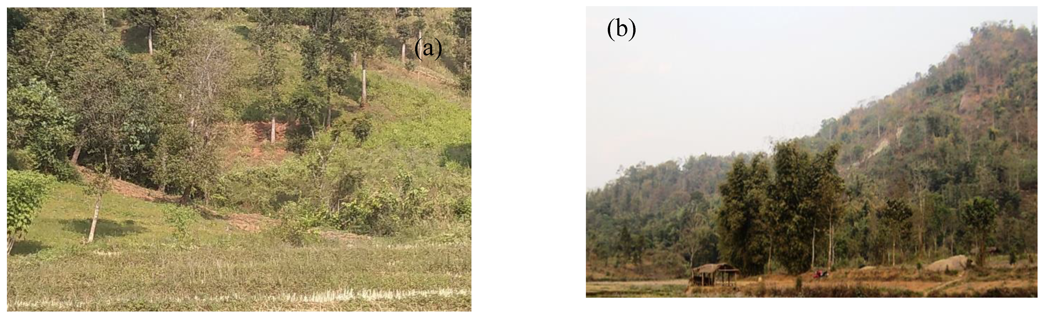 Sustainability 13 00232 g002a Sustainability 13 00232 g002a
