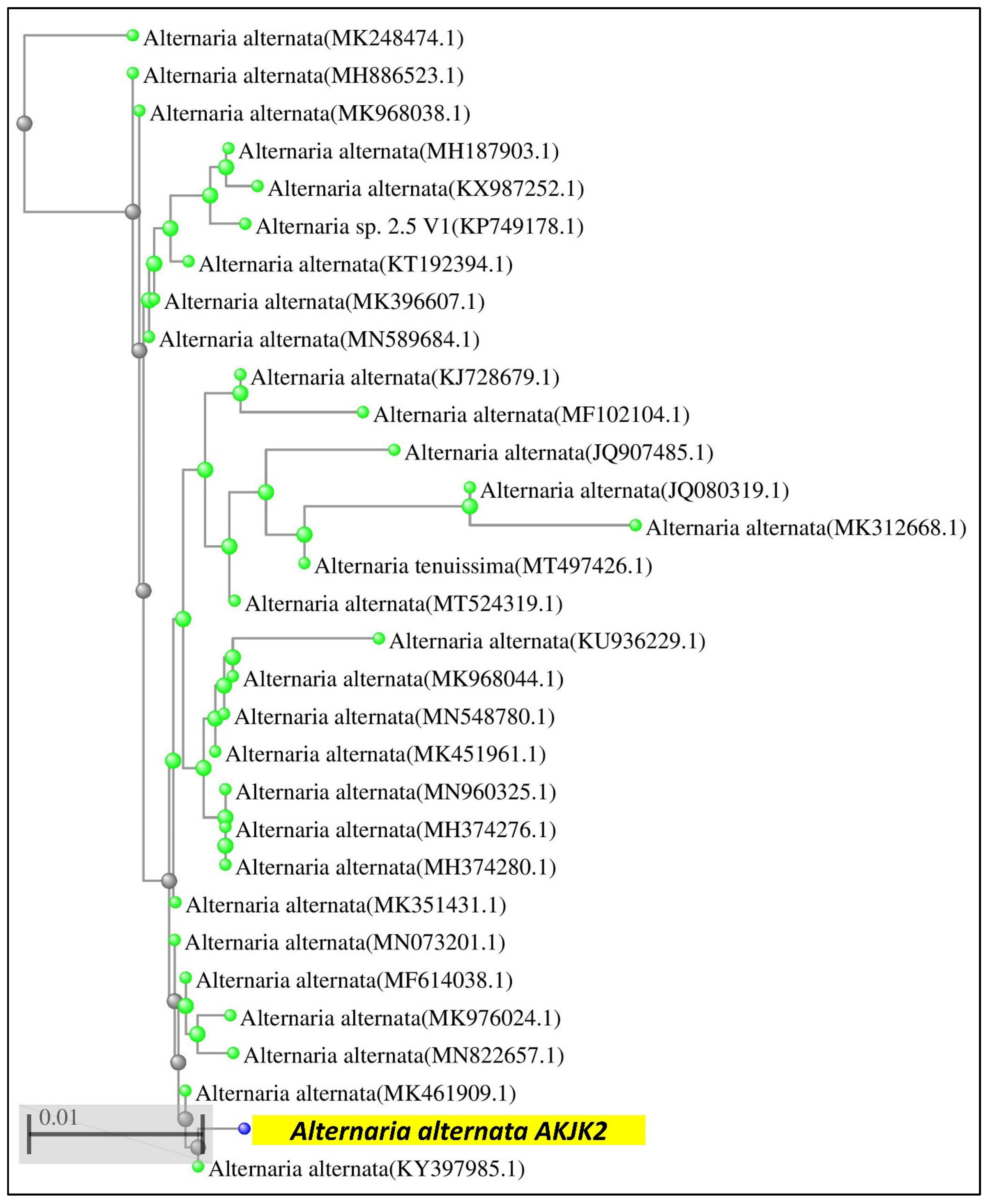 Sustainability 13 00245 g002 Sustainability 13 00245 g002