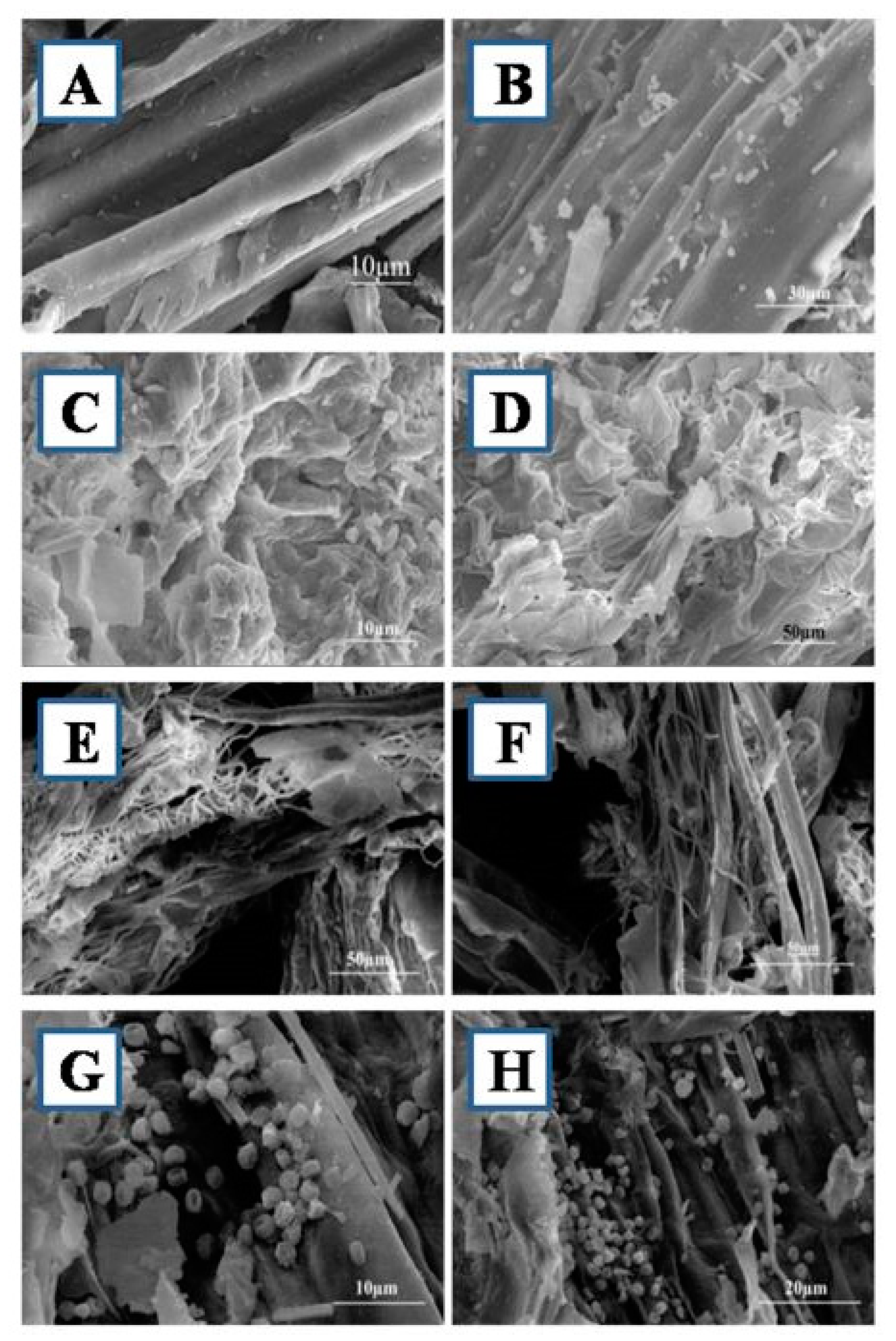 Sustainability 13 00245 g005 Sustainability 13 00245 g005