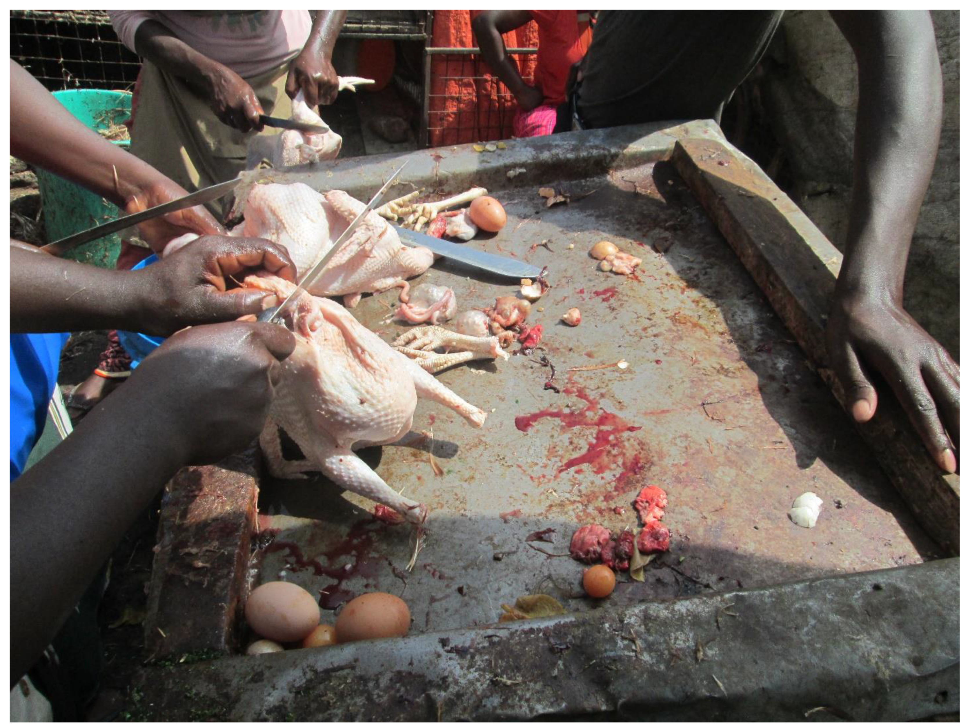 Sustainability 13 00248 g006