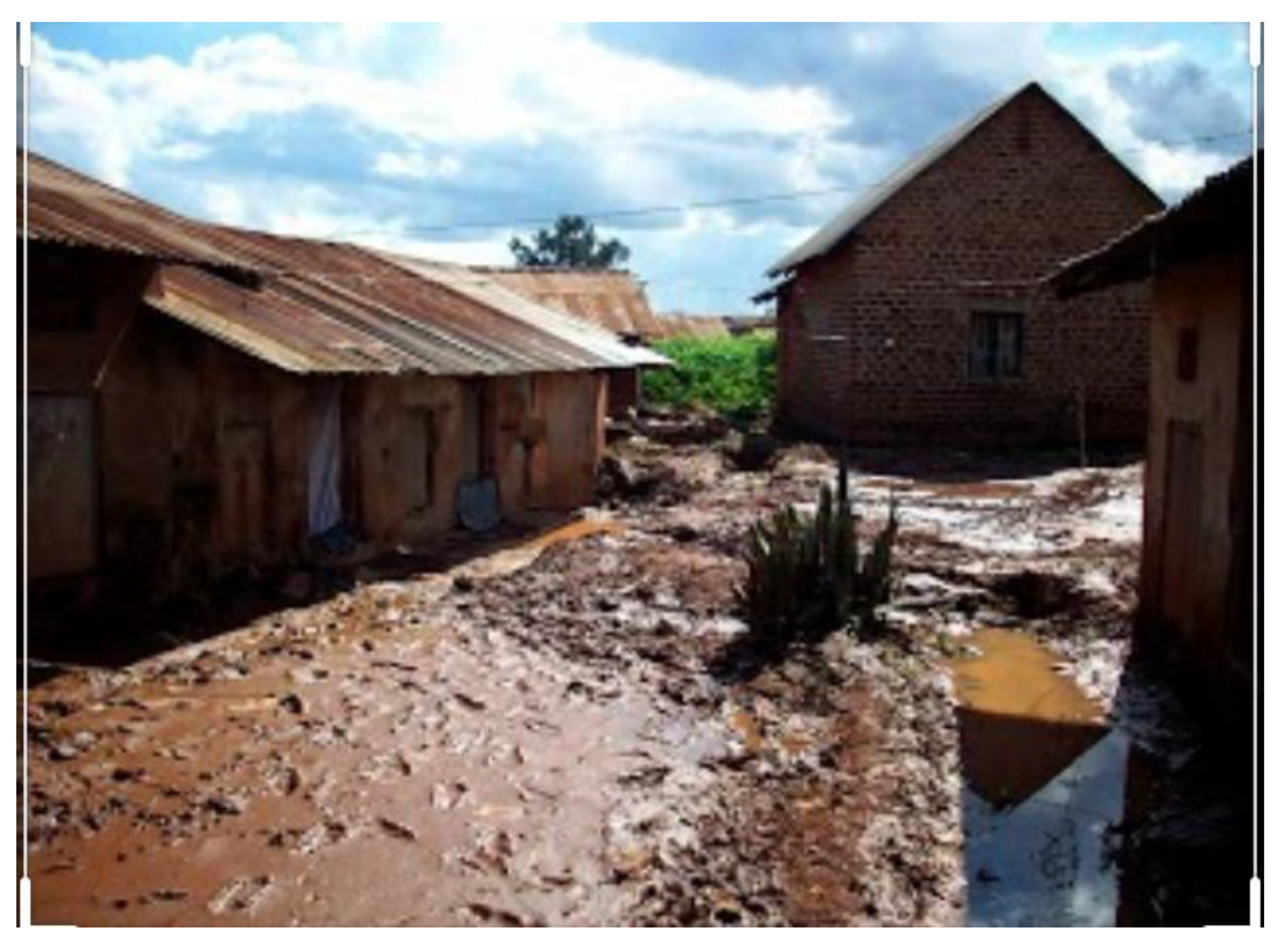 Health Risks in Our Environment: Urban Slum Youth
