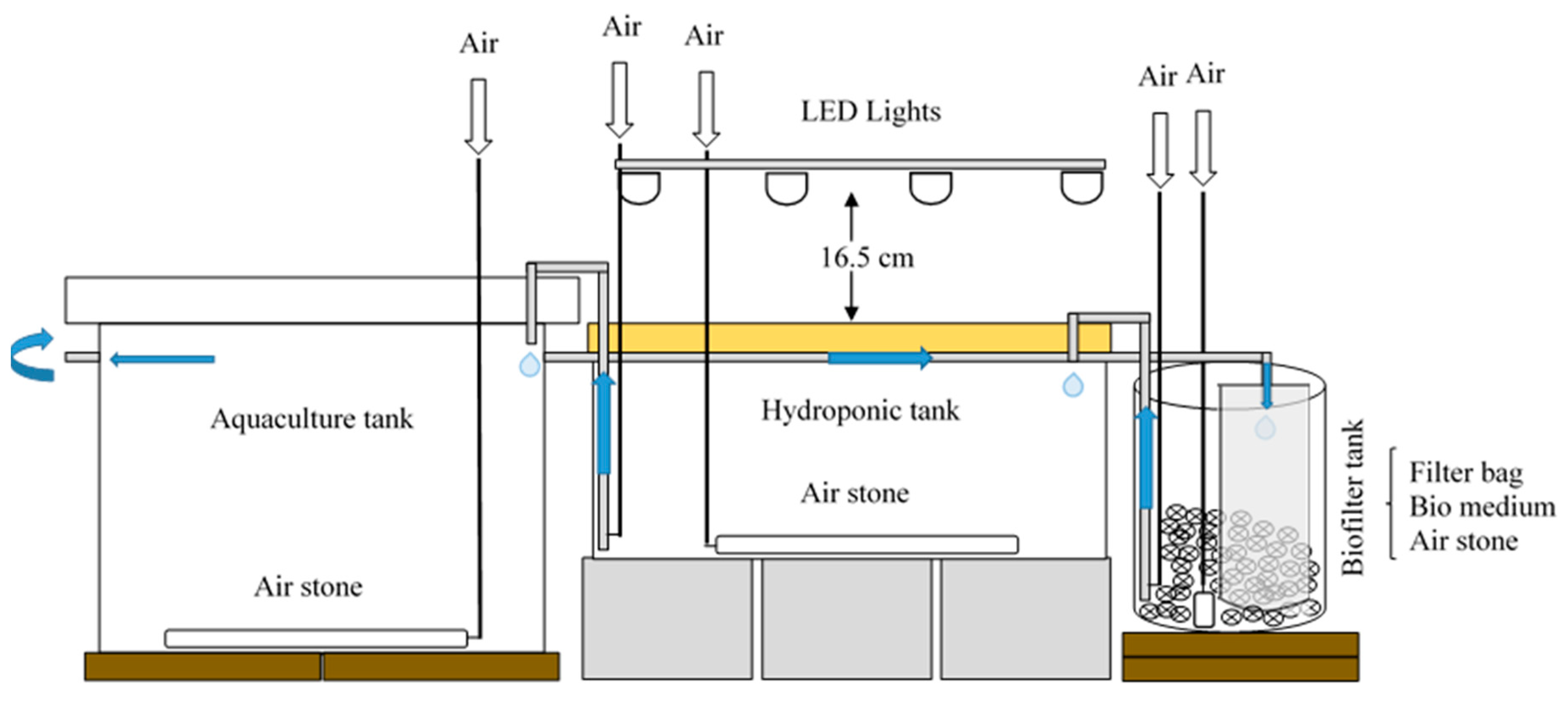 Sustainability 13 00269 g001
