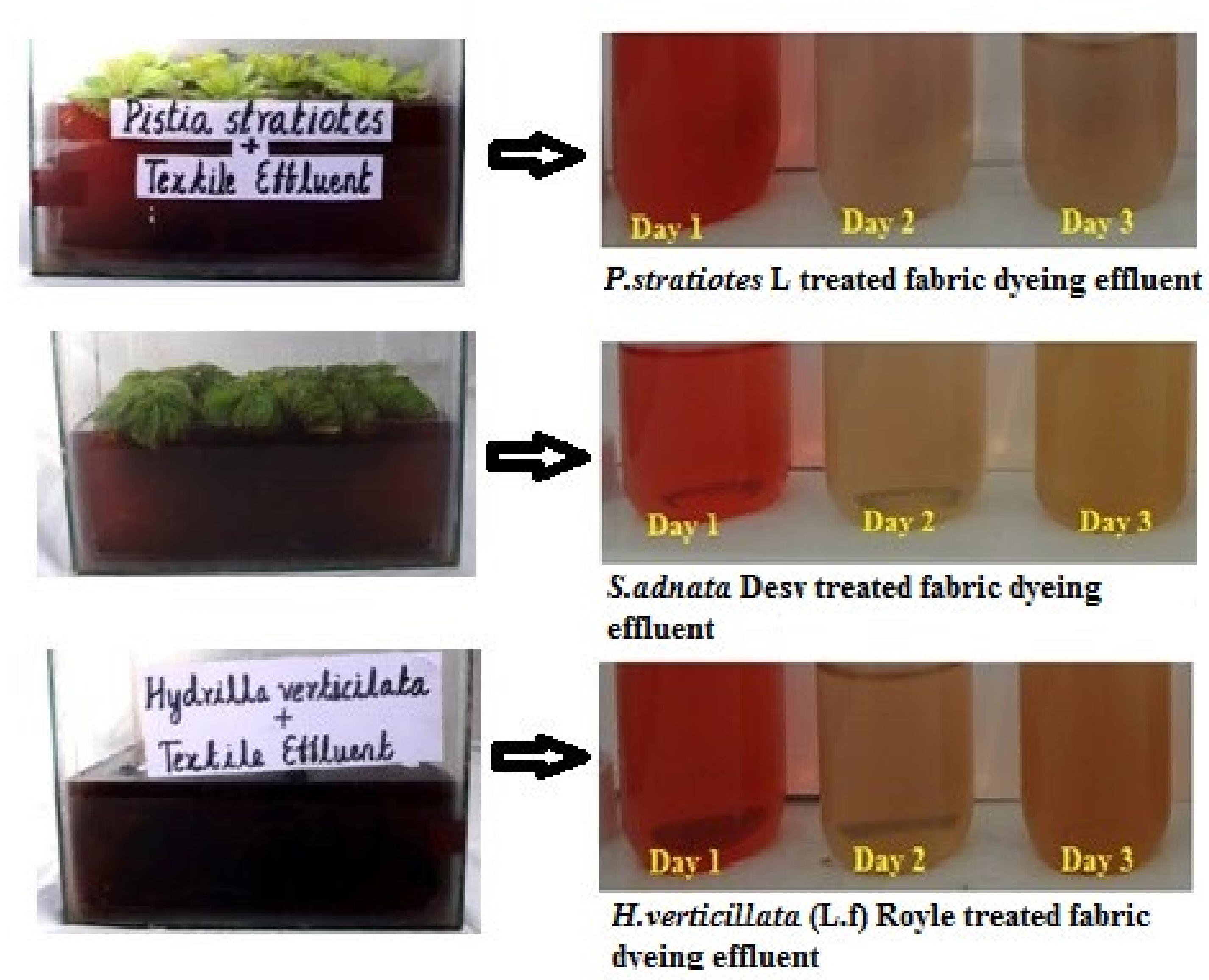 Sustainability 13 00329 g003 Sustainability 13 00329 g003