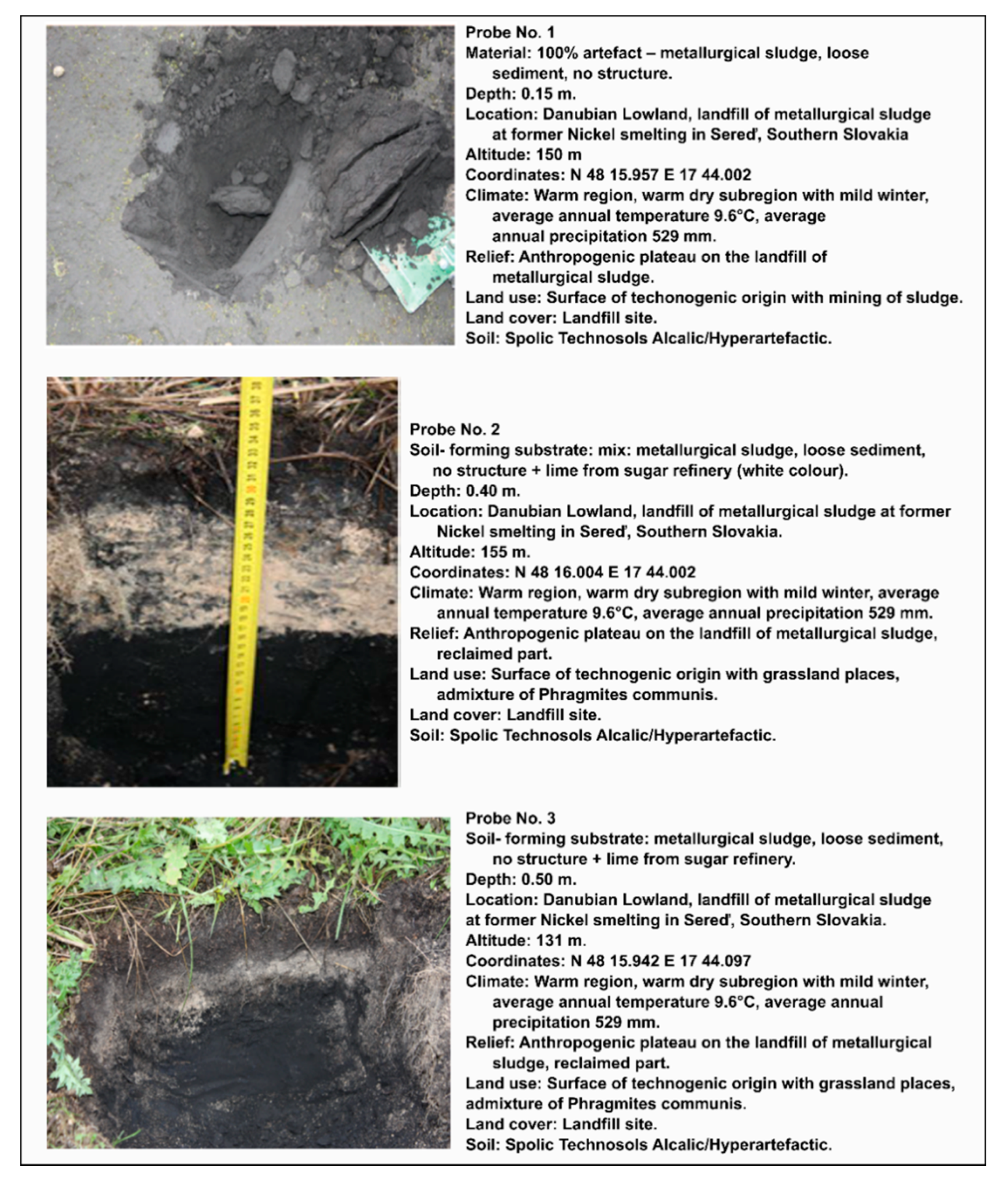 Sustainability 13 00406 g010
