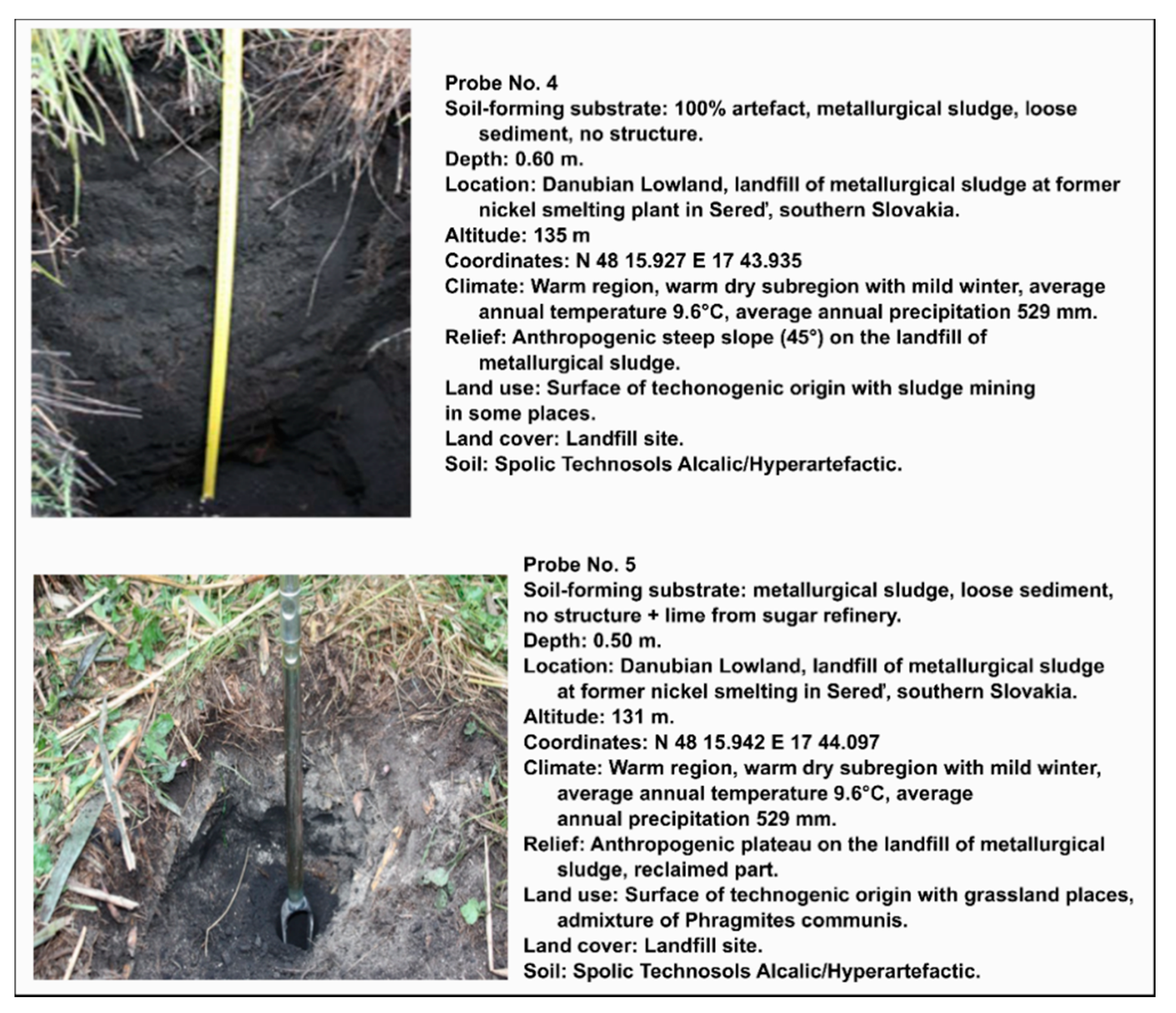 Sustainability 13 00406 g011