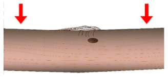 Sustainability 13 00439 i006