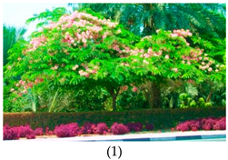 Sustainability 13 00468 i017 Sustainability 13 00468 i017