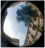 Sustainability 13 00468 i028 Sustainability 13 00468 i028